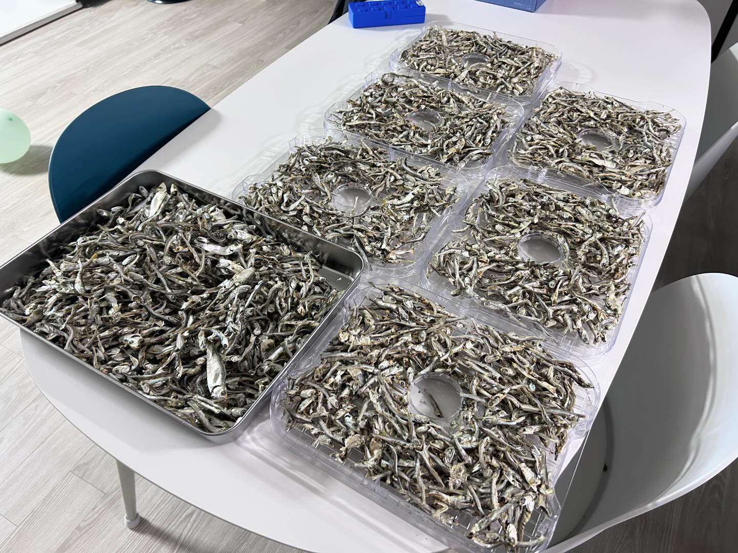 멸치지옥😜

말리는데 짠내가 진동을 해서

남편에게 구박 받았다.

멸치육수 안먹을 인간만 

나에게 돌을 던져라😤

#국물멸치