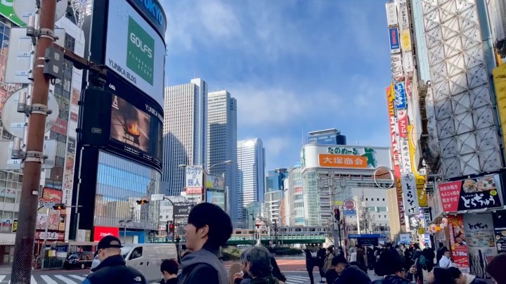🦤
아프리카에 분포하는 대형 황새다. ‘넓적부리황새’라고도 한다. 부리가 구두처럼 넓적하게 생겨 ‘구두(shoe)와 같은 부리(bill)’라는 뜻의 ‘슈빌(shoebill)’이라 불린다. 깃털의 빛깔은 회색이다. 키는 115∼150㎝이고, 날개를 편 몸의 길이는 최고 230∼260㎝에 달한다. 슈빌의 부리는 가로, 세로 20㎝에 달해 가장 큰 부리를 가진 새로 알려졌다. 

#도쿄 #우에노 #우에노공원 #슈빌