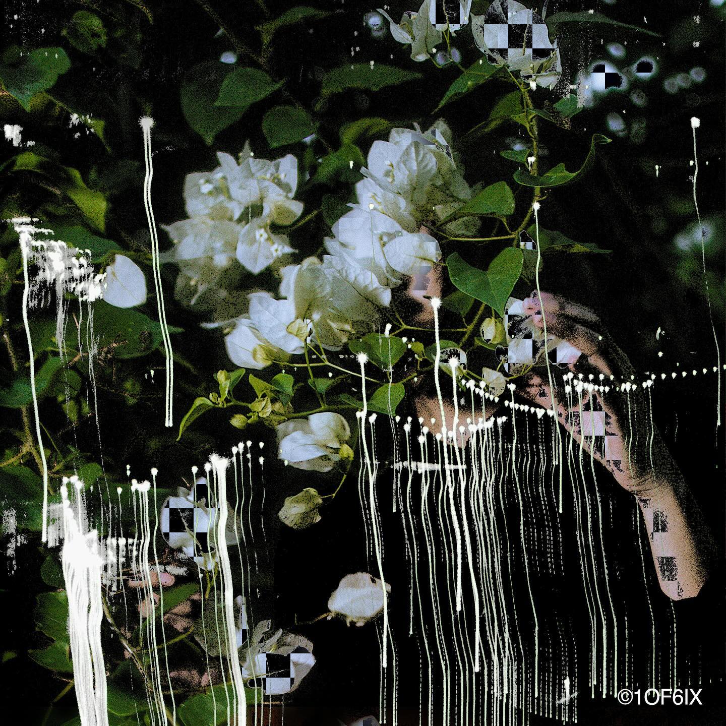 Particles
.
.
20240411
1of6ix