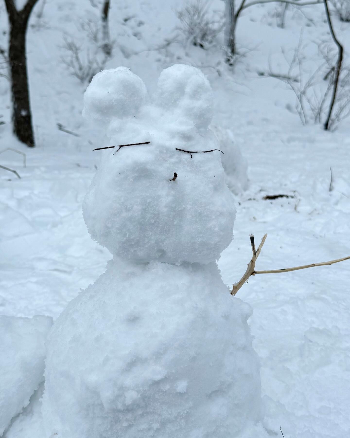 ❄️