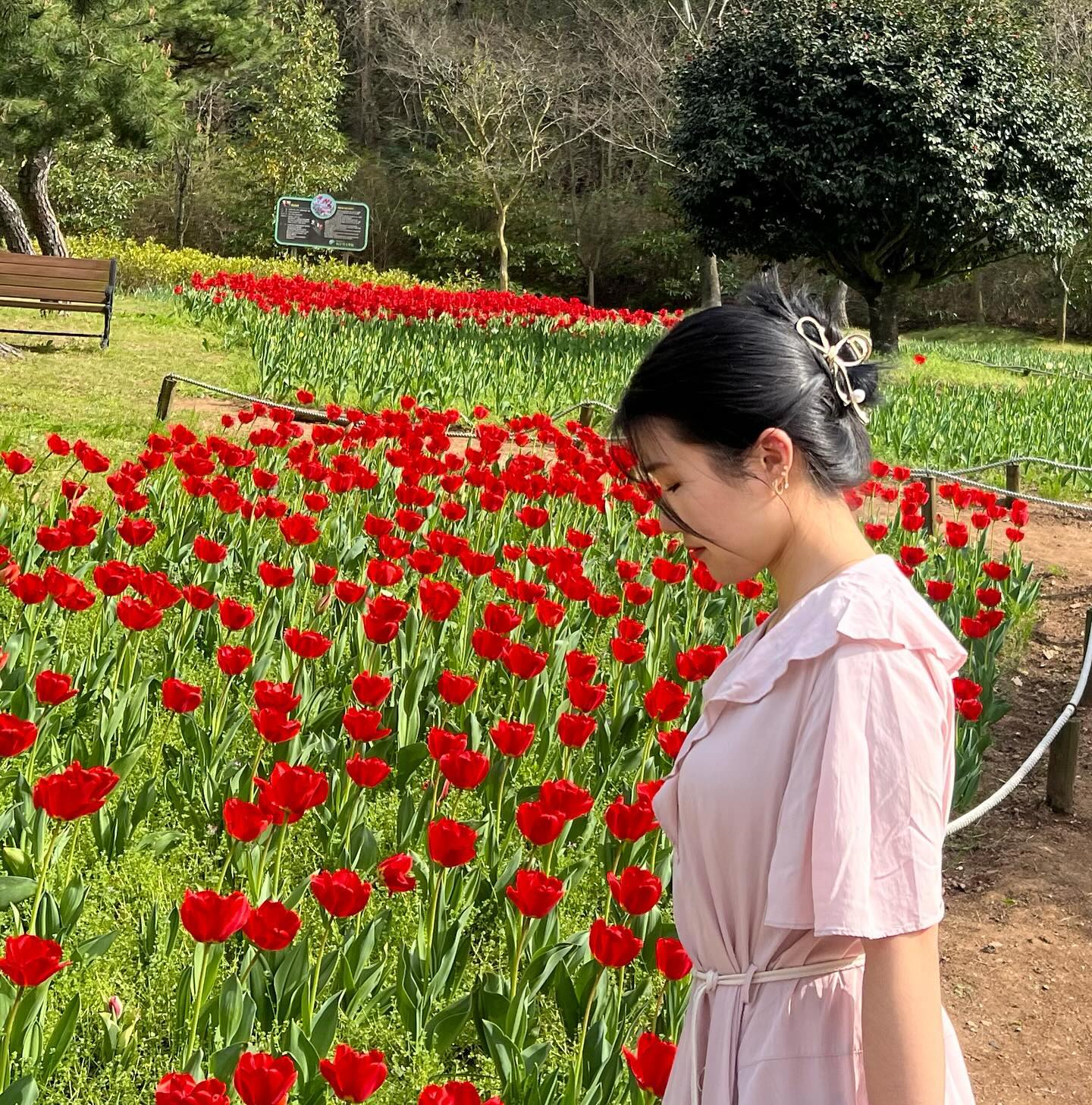 ⠀
🌷
⠀
⠀
⠀
⠀
⠀ 
⠀
⠀
#장흥 #하늘빛수목원 #튤립 #하누링의일상