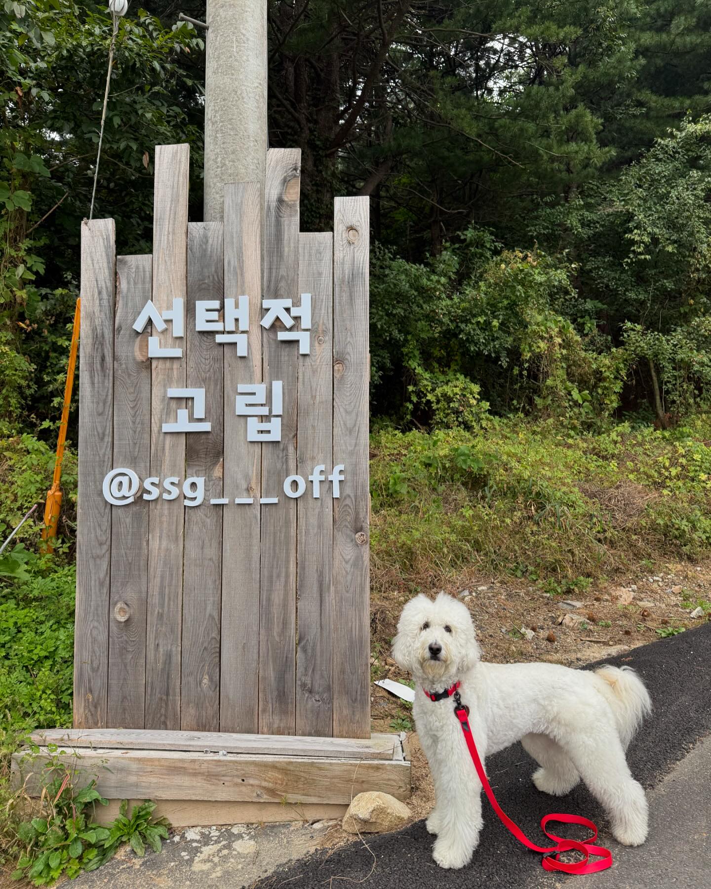 -
주말 연속 캠핑은 첨입니다만…! 
.
#두번째선택적고립하기