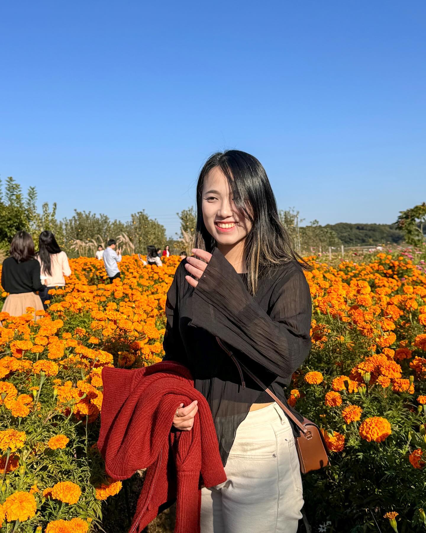 🍁🌾🍂🌼✨😉