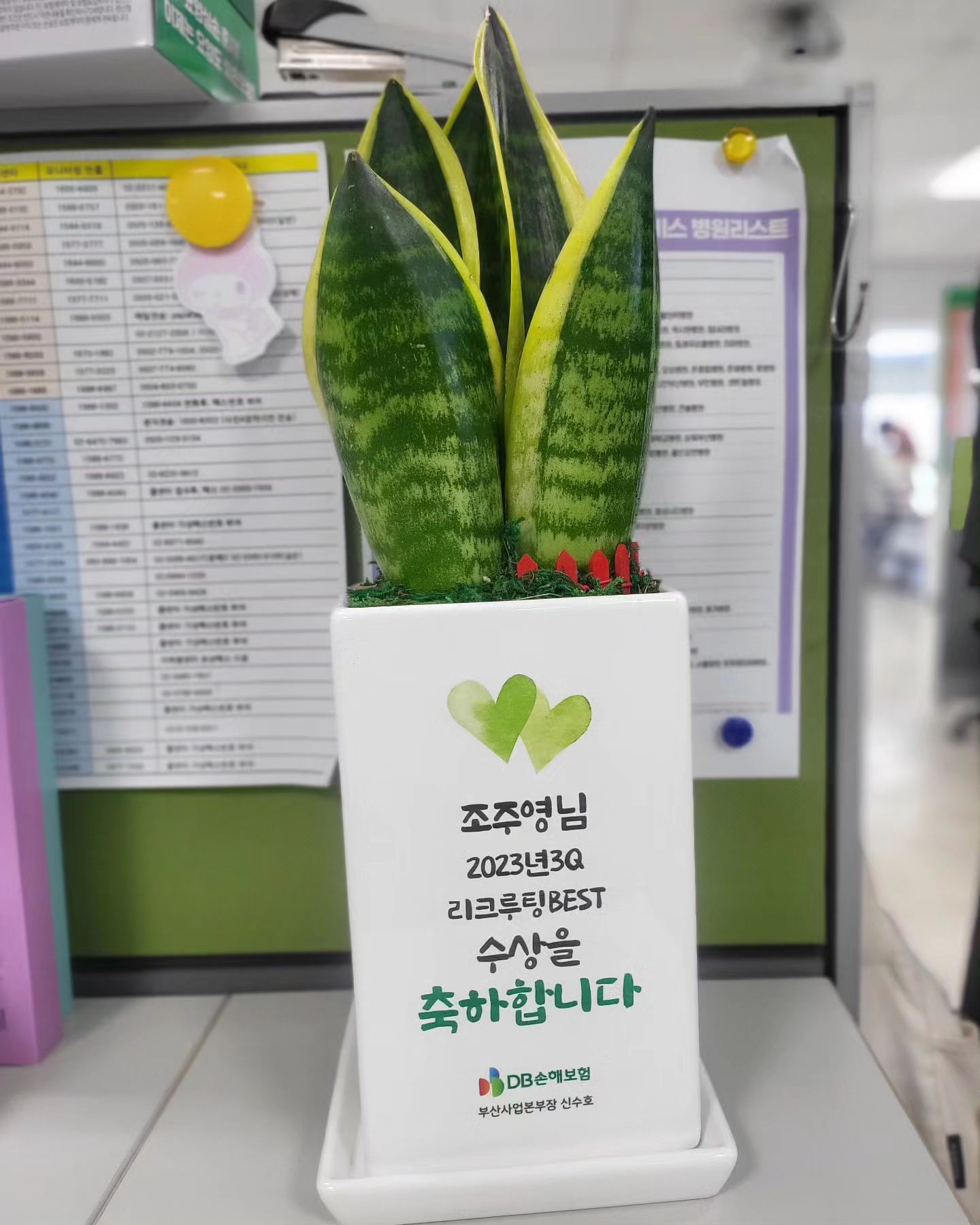 .
#DB손해보험
#거제TC_최강82팀 
#어쩌다수상까지 ...
#아직 #시상식멀었는디
#본부장님이 #화분선물보내주심 ㅋㅋㅋㅋ
#감사합니당🙈