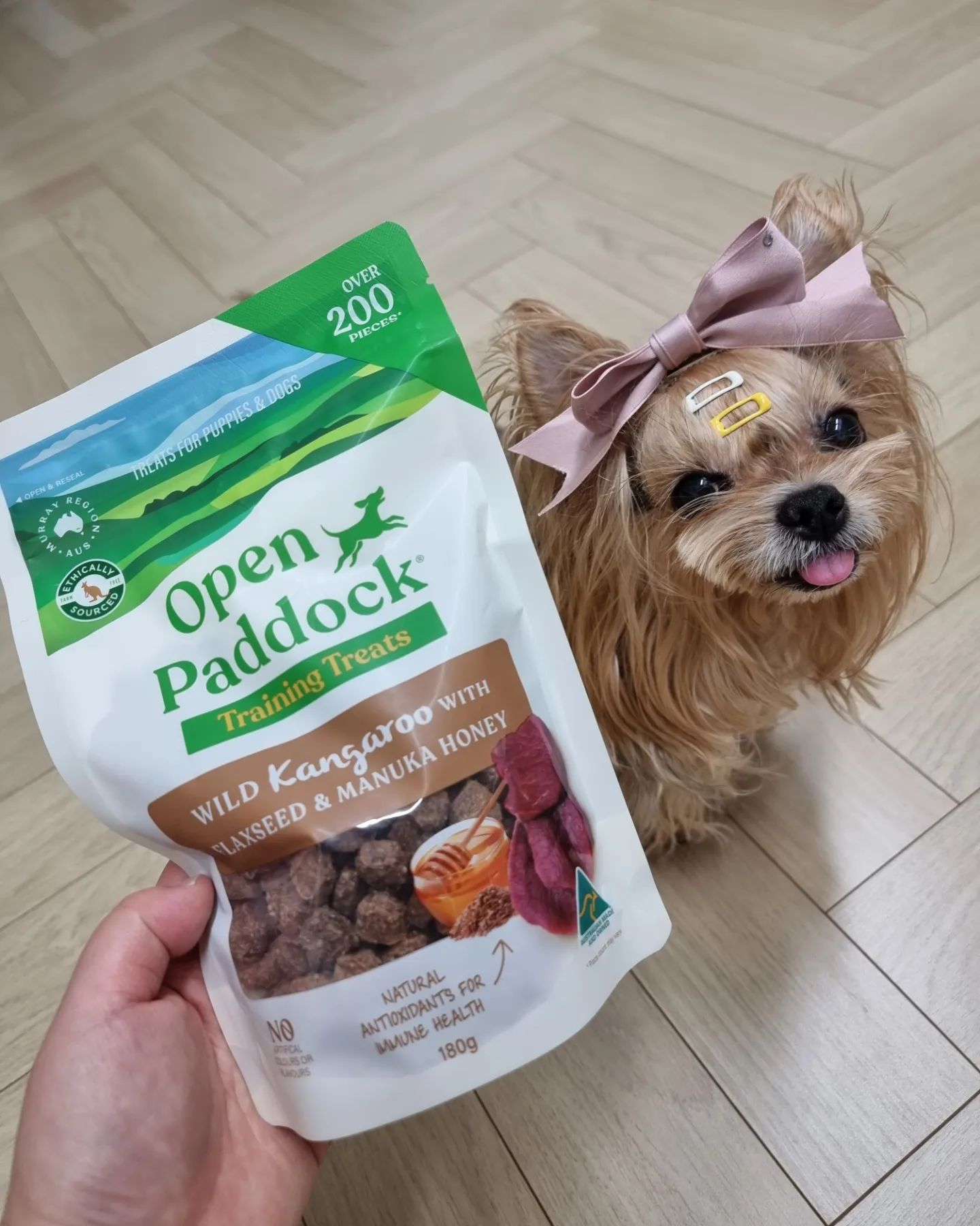 오랫만에 인사드리는 우유💚 데헷

이번에 오픈패독openpaddock_kr 이라는 브랜드가 정식 수입되었다고 해요!!

청정지역 호주에서 나온 야생 캥거루육으로 만든 믿을수있는 브랜드랍니다.

우유가 소개할 제품은 

💚오픈패독 캥거루 트레이닝 트릿💚입니다.

오픈패독(Openpaddock)은 

✅ 농장사육이 아닌 100% 야생 캥거루를 사용

✅ 합성 첨가물 ❌(인공색소,향미제 등)

✅ 제품 뒷면의 QR코드를 통해 원재료를
  투명하게 오픈!

✅ 상대적으로 기타 육류에 비해 알러지가
  적은 캥거루육을 사용

✅ 에어드라이 공법으로 인해
  영양소 파괴 DOWN 맛과 풍미 UP

우유네 찐 후기🐶

-일단 오픈했을때 인공향이 나지 않았고
고소한 육포향이 폴폴 올라왔어요.

-또 췌장염 우유에게 중요한! 기름기가 전혀 없어 키친타월에 테스트해봤는데
기름한점 묻어나오지 않았어요.

-어릴때부터 삼키는 습관과 식탐이 많은 우유에게 쉽게 잘라서 급여할수 있었어요.

-특히 우유는 노즈워크 귀신이라 맛있는 간식을 넣어주면 신나게 가지고 노는데
기름지지않고 손쉽게 자를수있는점 그러므로 소화에도 도움될것이라는 장점이 있었어요.

-몇일간 급여해본 결과 큰 탈이 나지도 않았고 엄청 잘먹어서 기호성이 정말 좋았어요. 계속 달라고 징징거리고ㅋㅋㅋ
우유가 좋아하니 우유엄마도 행복합니다❤

좋은 제품을 체험하게 되어 감사하고 영광이에요💚

*해당 리뷰는 제품을 협찬받아 직접 사용하고 작성한 글입니다.

#오픈패독 #openpaddock #캥거루간식 #반려견간식 #강아지간식 #호주펫푸드 #저알러지간식 #펫푸드추천 #펫푸드리뷰 #펫스타그램 #멍스타그램