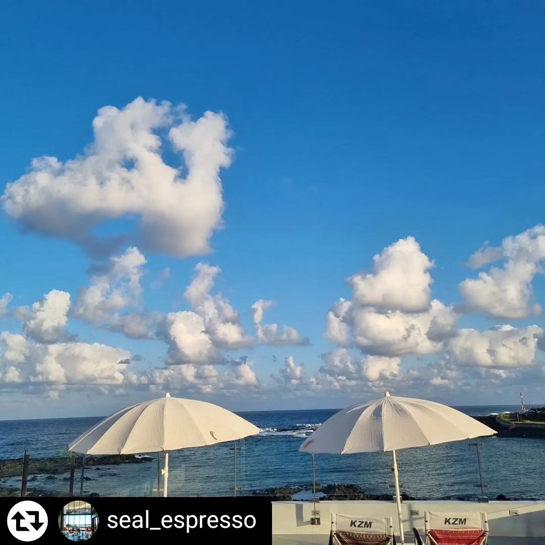 #제주도 카페
#웰컴투삼달리
#돌고래출현
#씰에스프레소

제주도 가고 싶다.