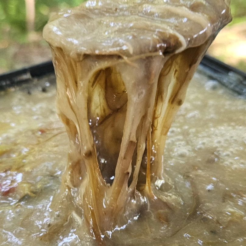 .
여행으로 노는 우리집에서
제주도를 내 집처럼 다니던 지난 날들을 생각하며

좀처럼 시간이 나지 않아 꼼짝달싹을 못하던 와중에

​

그리움에 목이 말라 제주도민맛집 가서 먹으면
더 맛있는 현지인들이 추천해준 채훈이네 해장국 중에서

제주 고사리육개장 맛보고 캠핑 밀키트로 챙겼다.

​

이제는 뭐든 배달이 되는 세상이니
집에서라도 받아 먹을 수 있음을 특별히 감사를!!

늘 먹던 그런 똑같은 메뉴 말고
뭔가 진짜 입맛 살리는 보양식 없나?? 할 때

✔️한 끼 든든하고
✔️본연의 맛 그대로 배달되는
✔️채훈이네 고사리육개장
✔️오랜 노하우로 더 맛있는 맛집
​
밀키트로 쟁겨놓고 캠핑 갈 때마다
아침식사로 든든하게 챙기고 싶은 메뉴

운동 끝나고 입맛이 없는 녀석에게
채훈이네 해장국 고사리 육개장 끓여서 대령했더니
세상 맛있다고 얼마나 맛있게 먹는지

​
역시 이녀석이 맛을 알아~~~!!

​
👍 제주도민맛집 채훈이네 해장국 고사리육개장 강력추천

#채훈이네해장국 #제주고사리육개장 #제주몸국
#제주도민맛집 #제주도민해장국 #캠핑밀키트
#제주맛집 #제주음식 #짠내투어 #해장국맛집
#채훈이네육개장 #고사리해장국 #밀키트맛집