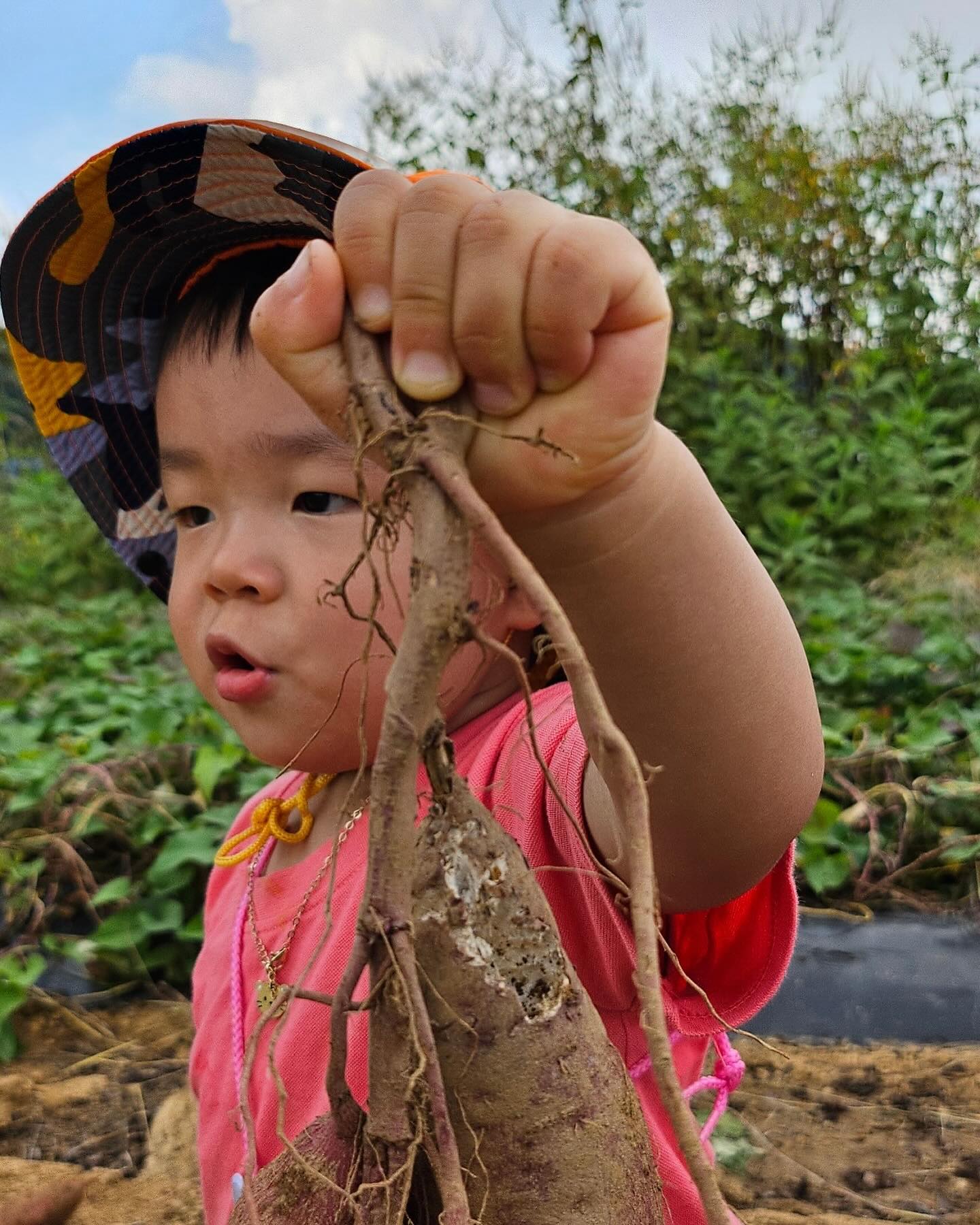 어린이집 선생님이 우봉이 힘에 놀란날

우리 아들래미가 캔 고구마라 그런지 더 꿀맛이네 😘