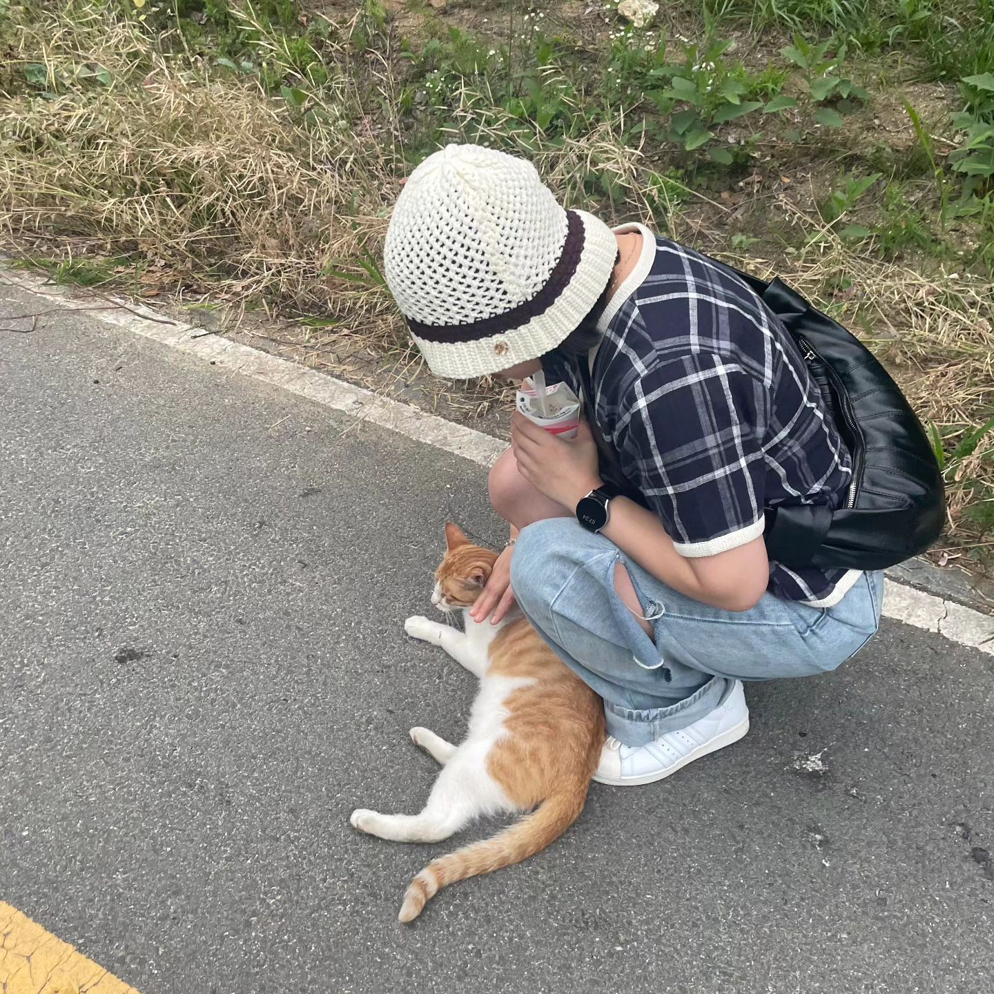 아니 뭐 누가 찍어준건데 괜찮아서🫢 #치즈냥이 #유기묘 #길냥이 #사지말고입양하세요