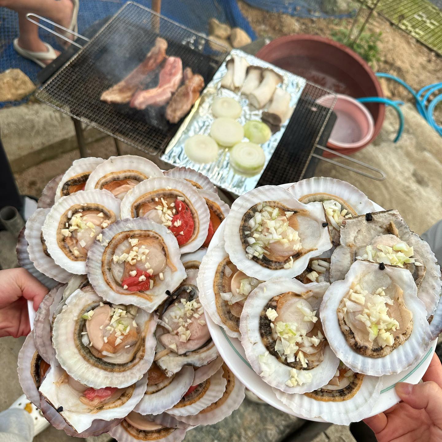 또 먹고싶다.. 가뤼뷔.. 🔥
칼로 반 갈라서 양파치즈 뿌리면 끝.
  
#가리비치즈구이 #이천여행
#캠핑음식추천 #간단한요리 
#야참 #느낌아니까 #그릴요리