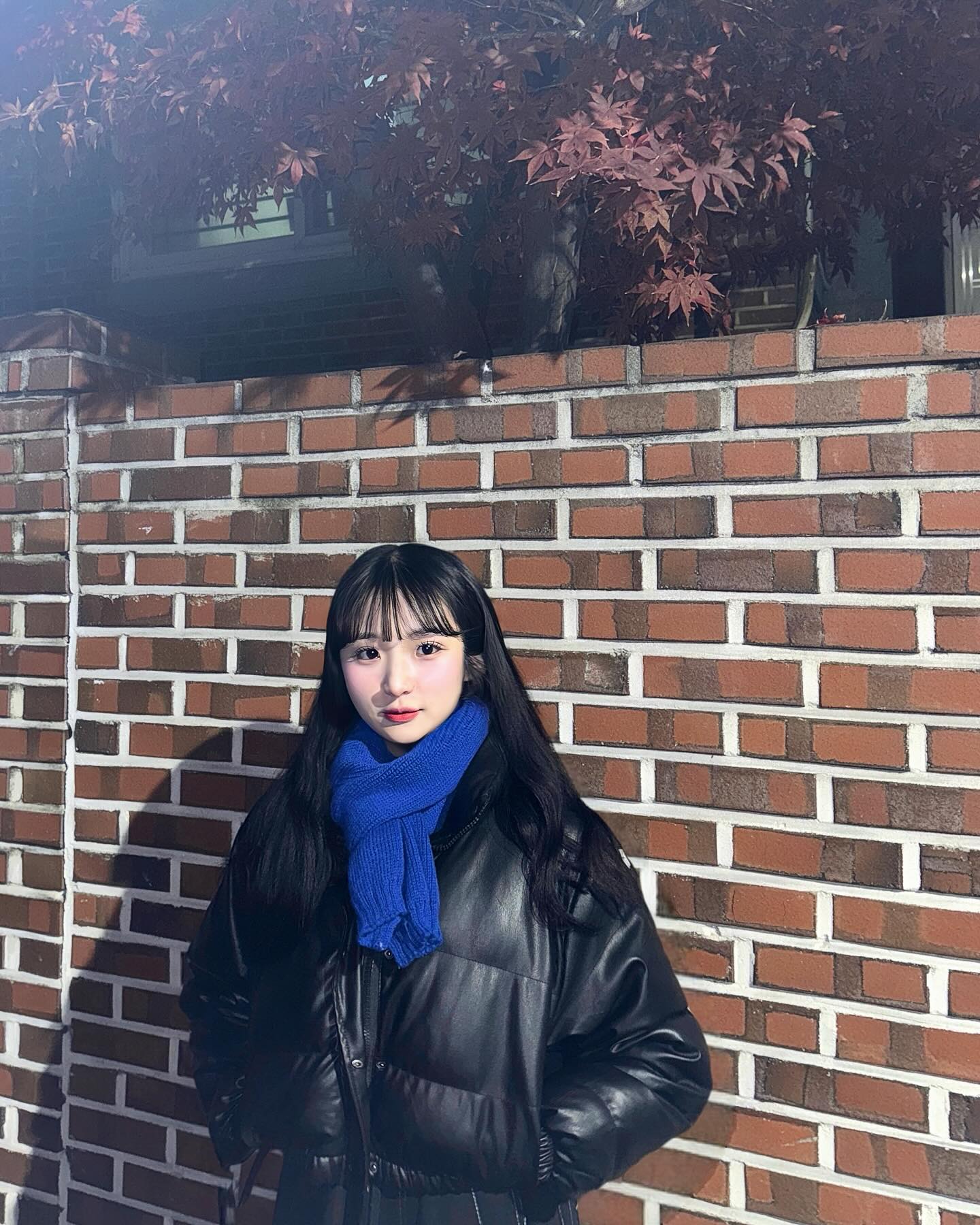 목도리 개방🧣
