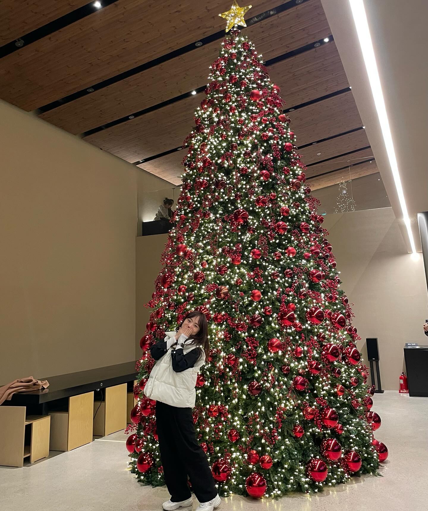 🎄