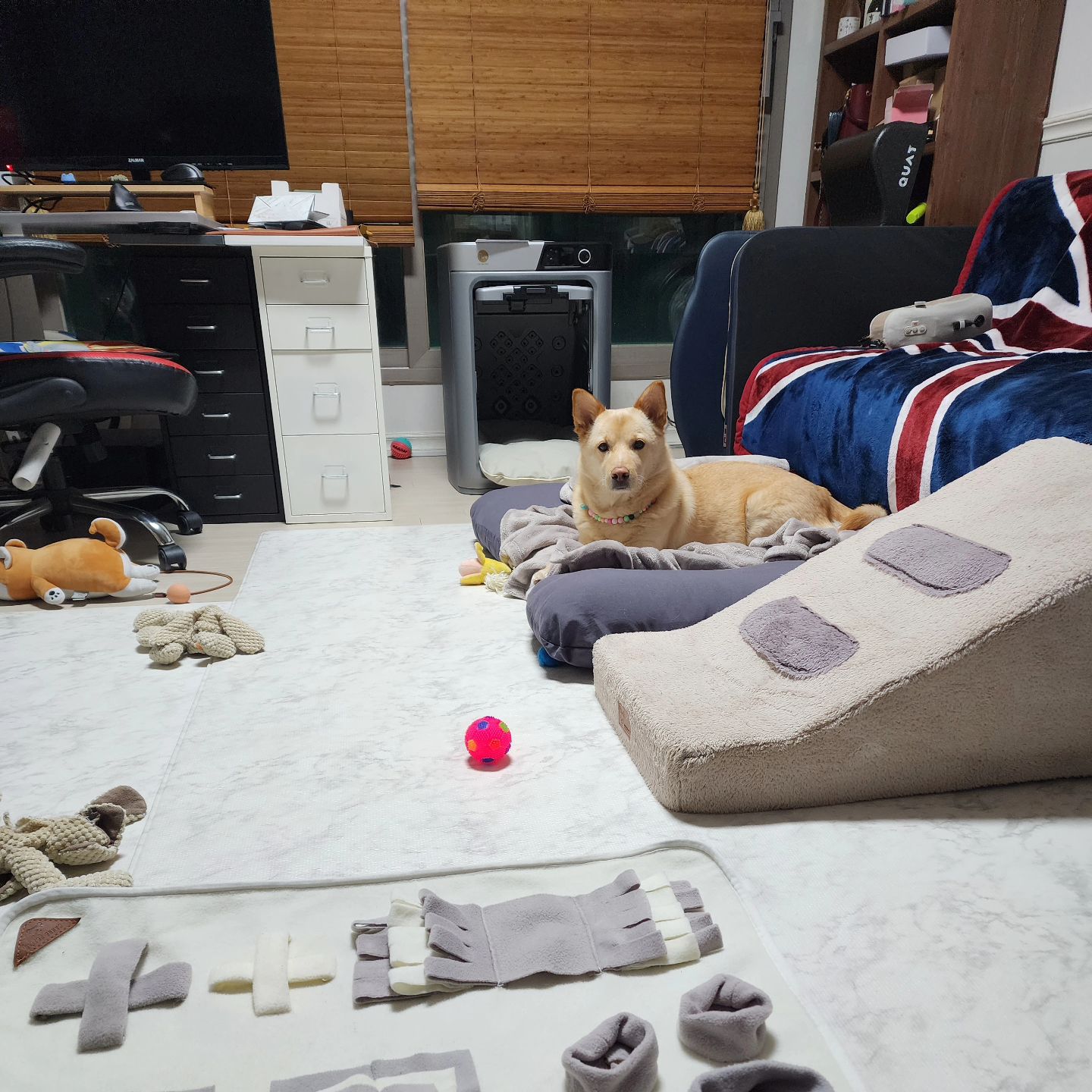 콘텐츠