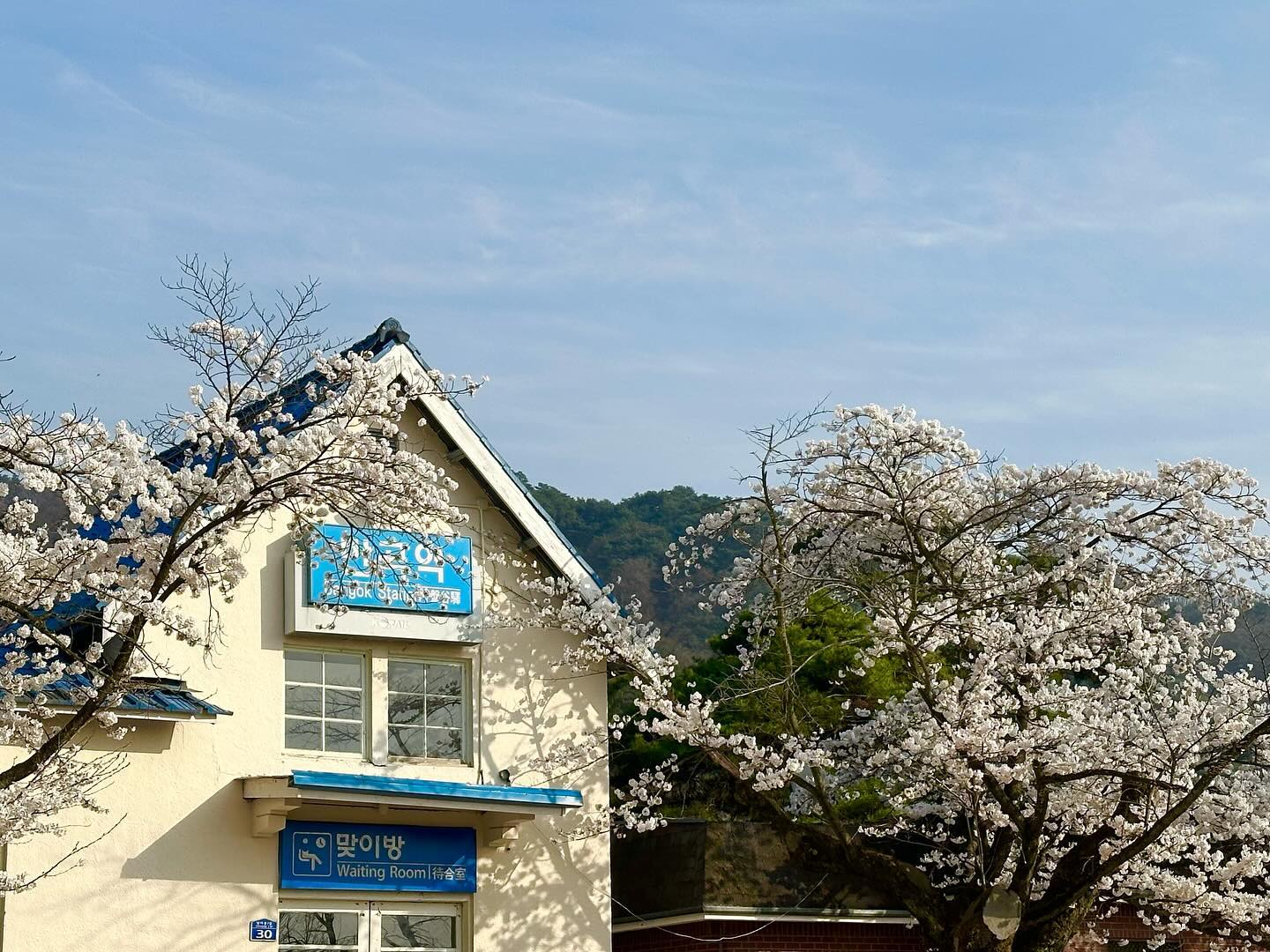 설명회 끝나자마자 옷도 안갈아입고 갔던 평화로운 원주