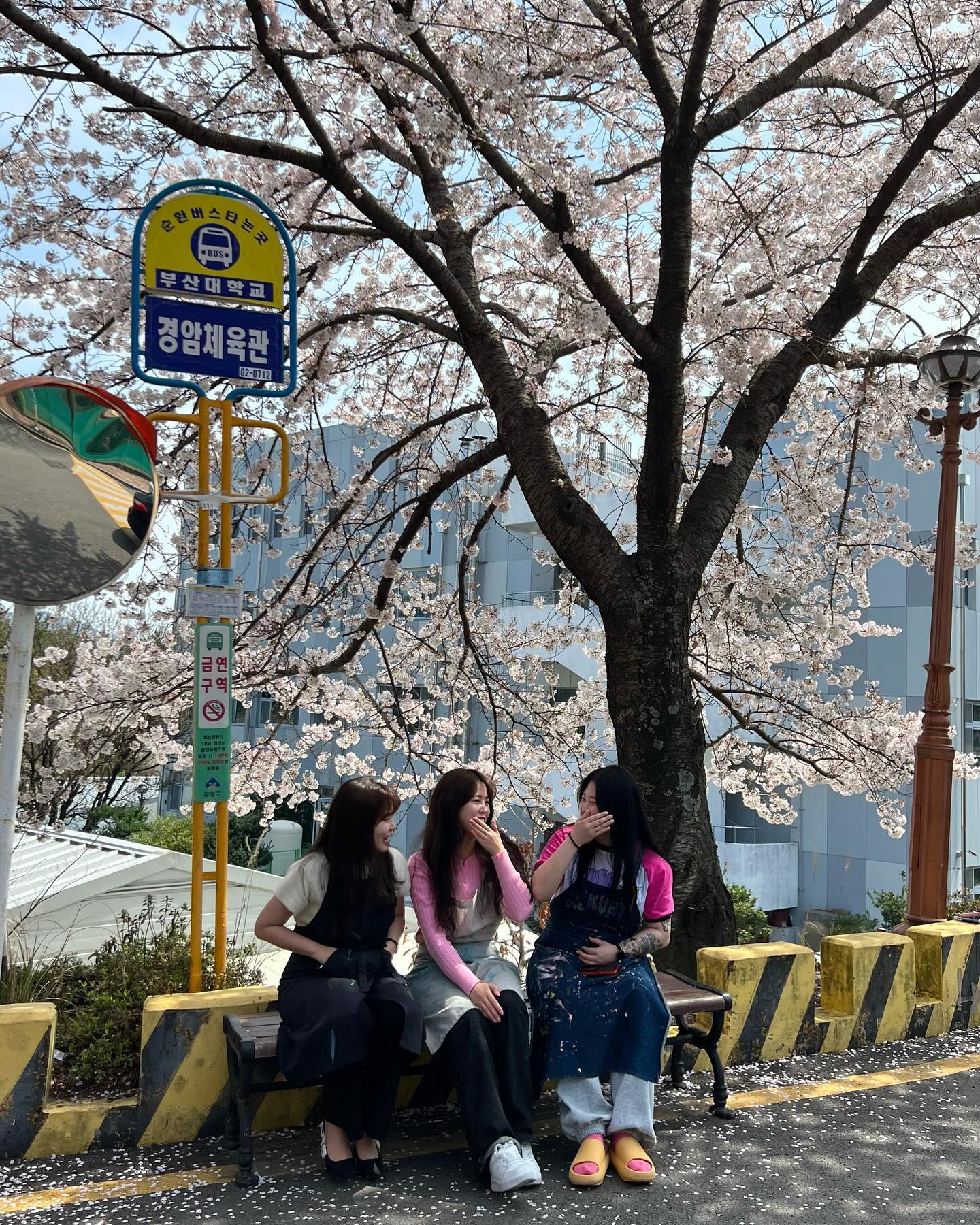 하지만 꽃 청춘 드라마 한편 뚝딱👀🩷
.
.
.
#낭만예대 #🌸