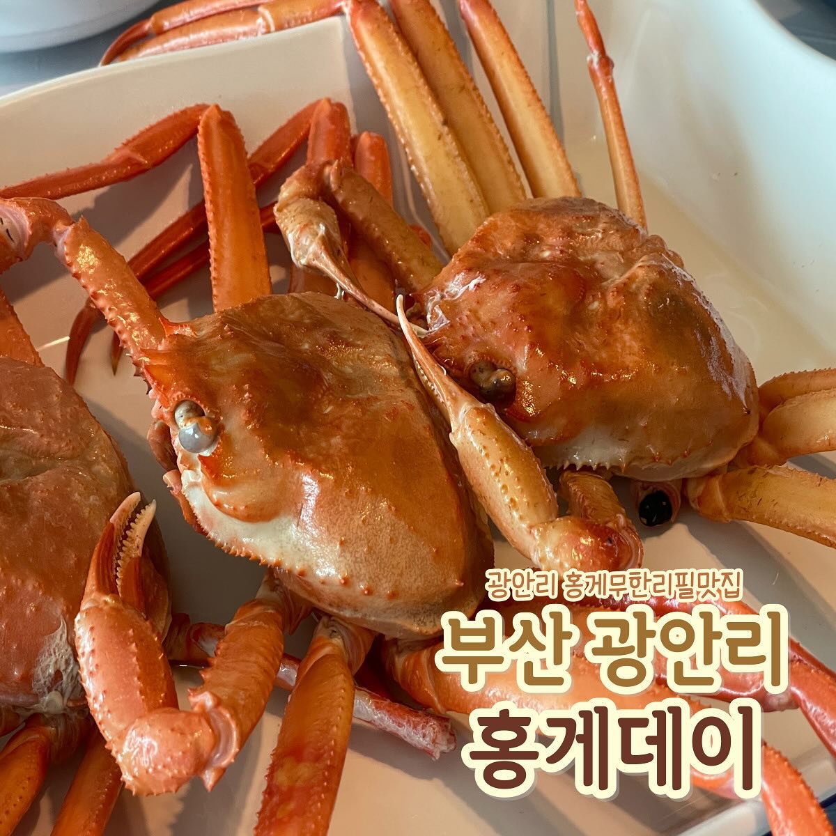 광안리 바닷가를 바라보며 먹는맛집🏖️

일단 들어가자마자 홍게냄새가 나는데
창밖을 바라보면 광안리 바다뷰가..👍🏻👍🏻
심지어 홍게 수율도 너무 좋았는데
홍게데이의 필수 코스는 바로바로
홍게 볶음밥..진짜 너무 귀여워..🦀

가족들끼리 함께가서 홍게 배터지게 먹자구요🏃🏻‍♂️

📍 홍게데이
🏡 주 소 : 부산 수영구 광안해변로 344번길 17-9
⏰ 영업시간 : 매일 12:00 ~ 21:30
✋🏻 L T 오더 : 21:00
🚫 정기휴무 : 연중무휴
📞 전화번호 : 0507-1338-4879 
🚗 주 차 장 : 수변공원 공영주차장

🏷️ 맛집은 onelby.kr