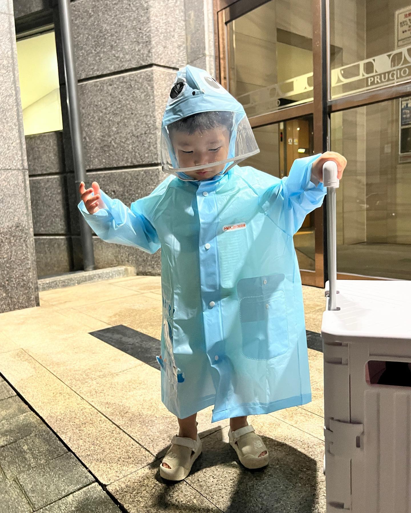 #포도 

저녁밥 다 먹고는 갑자기 포도가 먹고 싶다며 
냉장고 문을 열던 론니 🍇🍇🍇
낮잠을 3시간이나 자서 저녁잠을 금방 잘 것 같지 않기에
부슬부슬 비가 내릴 때 마트로 출동-!

장바구니카트를 본인이 끌겠다며 열심히 끌더니
정말 마트가서 집에 올 때까지 론니가 끌었어요ㅋㅋ

마트가서 먹기 편한 샤인머스캣 한 송이를 사려고 보고있었는데 
론니가 자기 앞에 있던 캠벨포도 한 알을 쏙 빼서 순식간에
먹어버린 덕분에 예정에 없던 포도 한 박스를 사왔네욬ㅋㅋㅋ 
더 달라고 난리인 통에 얼른 결제하고 
물티슈로 급히 몇 알 닦아서 줬는데 어찌나 잘 먹던지~

많이 샀으니 많이 먹고 쑥쑥 크거라 론니얌~~

#론니 #아기우비 #아닌밤중에포도사러가기
#비오기전습한날씨 #저녁산책 #귀여운아기