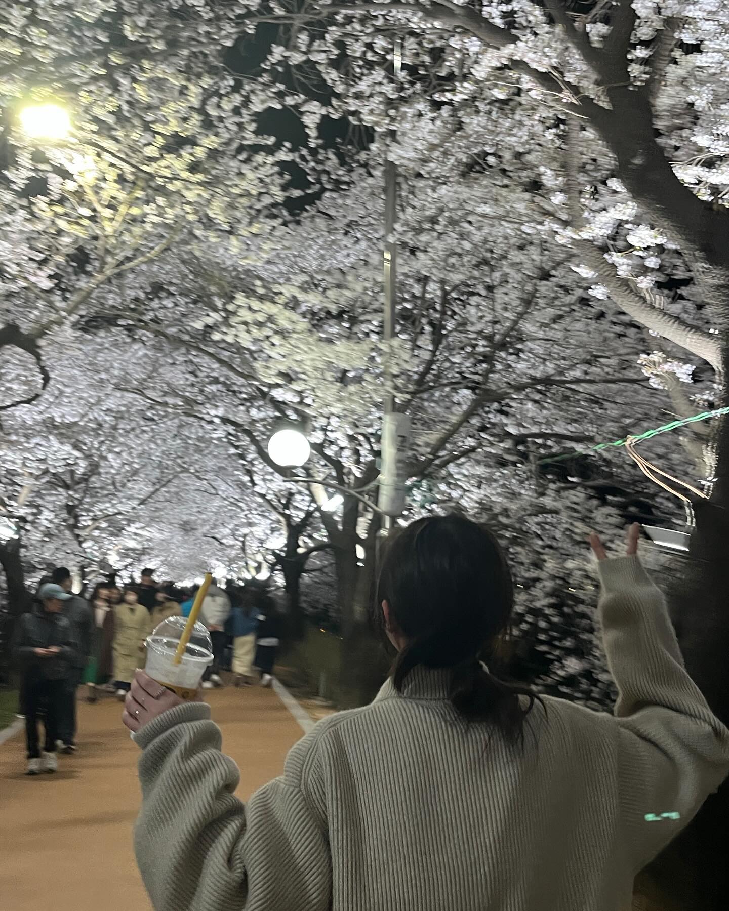 #영주 #서천천 #영주벚꽃 #밤벚꽃 #벚꽃터널 #벚꽃

아 혹시 사진에서 술냄새 나나요....?
알콜이 들어가면 신이 나는 편....ㅎ
근데 이렇게 이쁘면 누구든 신날거야♥