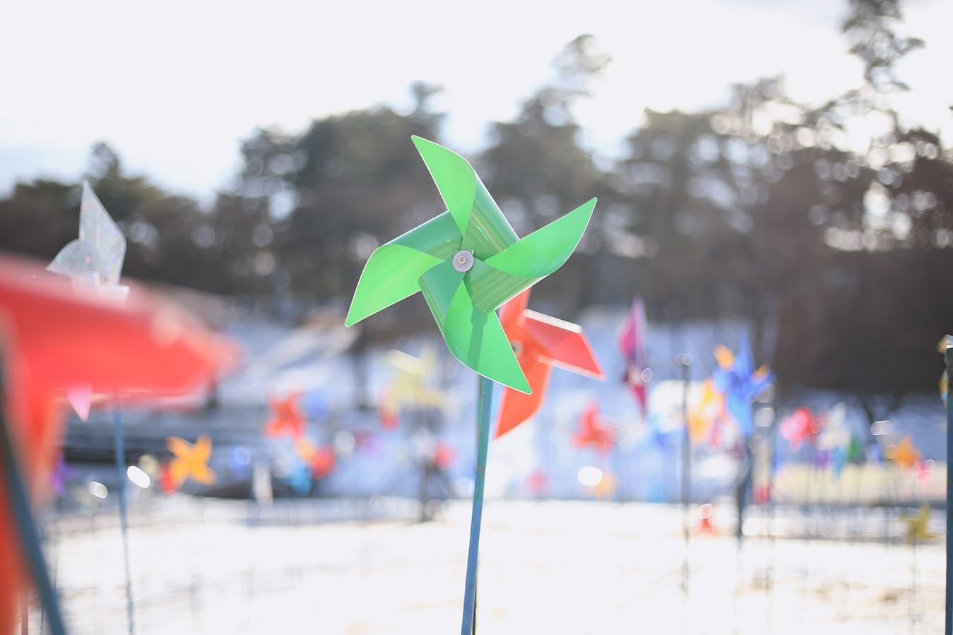 #20231231 #파주임진각평화누리공원