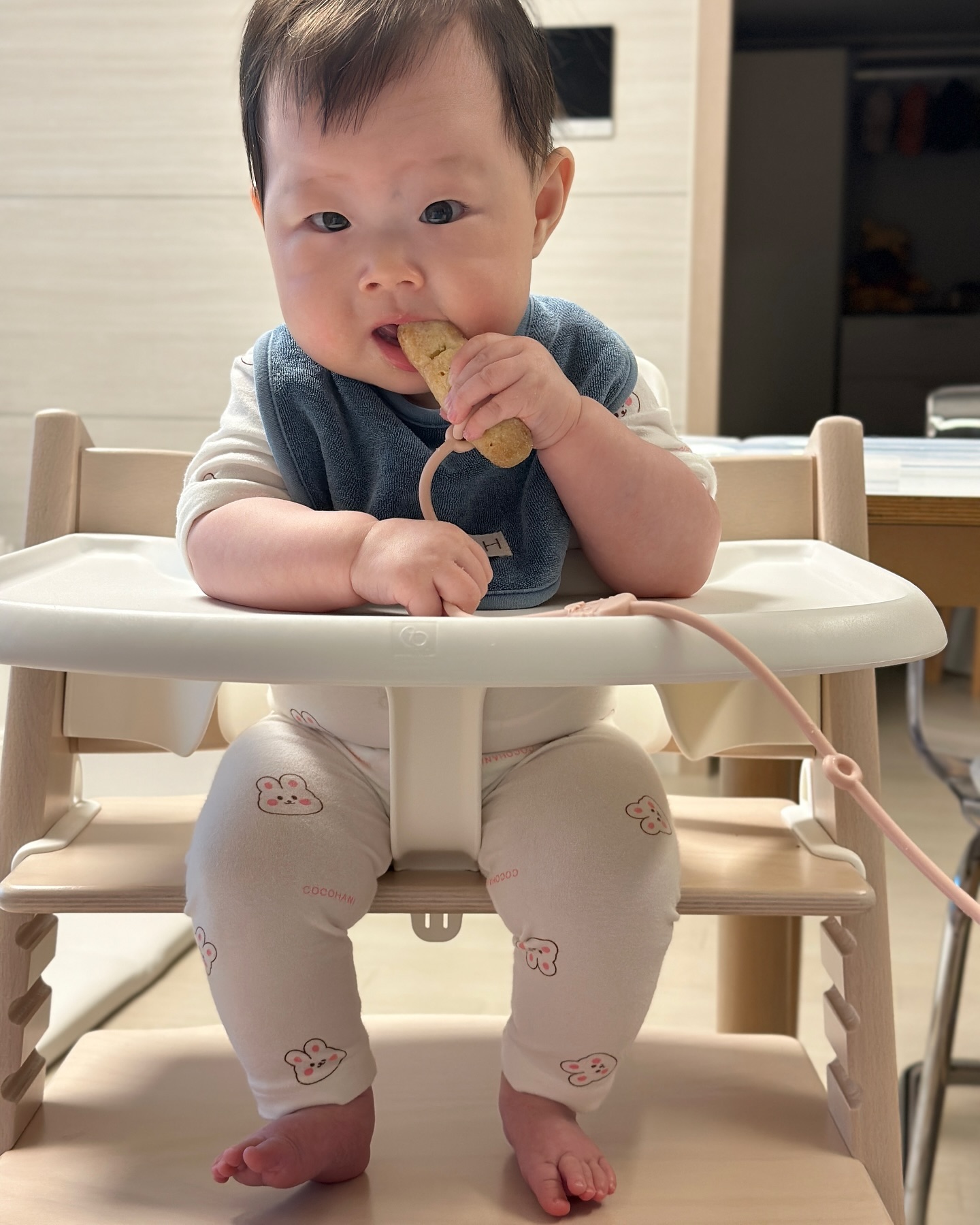 D+190 티딩러스크 잘 먹어줘서 엄마 감동이야🥹
의자에 앉아서 발 딱 붙이고 앉아서 저 쪼끄만 손으로 옴뇸뇸

통통한 허벅지, 발, 배, 손, 팔 하나도 안귀여운게 없는 설예소..🫧🫧

(이 계정은 사실 엄마가 주접떨려고 만든 계정😊)