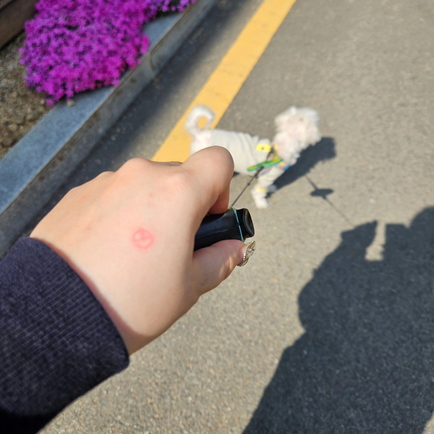#투표인증