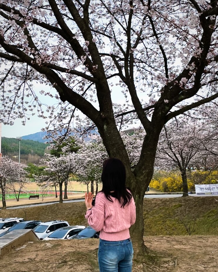 🌸너가 오긴 오는구나🌸

#벚꽃축제
소개말 : “중간고사가 곧입니다”
맺음말 : “열심히 하십시오”
^_^..

  직접 제작한 꽃길
🌸✨ ✨🌸
 🌸✨ ✨🌸
 🌸✨ ✨🌸
 🌸✨ ✨🌸
 🌸✨ ✨🌸
 🌸✨ ✨🌸
 🌸✨ ✨🌸
 🌸✨ ✨🌸
 🌸✨ ✨🌸
 🌸✨ ✨🌸
 🌸✨ ✨🌸
 🌸✨ ✨🌸
 🌸✨ ✨🌸
 행복하으자

📸 BY U😳
#벚꽃 #봄나들이 #대학생 #🌸
