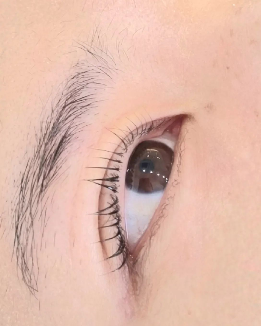 #협찬
-
속눈썹이 함박눈이 내려앉으면
쌓일 것같은 곱단이 속눈썹으로 바꼈다!✨️👀

저의 부주의한 관리로 속는썹끝이 다끊어진 상탠데 이걸 살려주셨어요 ㅜㅜ🥹

( 짤려나간줄도ㅠ몰랐음)

금손 원장님의 한올한올 정성껏 말아올린 나의 속눈썹

화장안해도 인상이 확달라져서 포기못해!

저같이 마스카라 잘 못바르는 사람들은 완전 필수입니다

가지고있는 속눈썹의 잠재력을 믿어보세요! 생각보다 길고 곱다 !!

💘원장님이 다하셨어요! 하썸뷰티!

hasum_sugaring
-
#리뷰노트 #인천속눈썹펌 #뷰티그램 #주안속눈썹펌 #주안왁싱 #맞팔