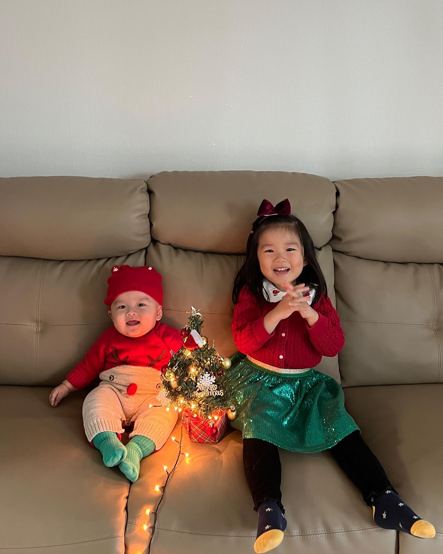 많이 뒤늦은 #2023 #크리스마스 🎄 
오늘 아침 발견한 하얀 눈꽃나무보며 생각난 지난 크리스마스🫰
떠아의 네번째크리스마스 꽁지의 첫번째크리스마스🎄
