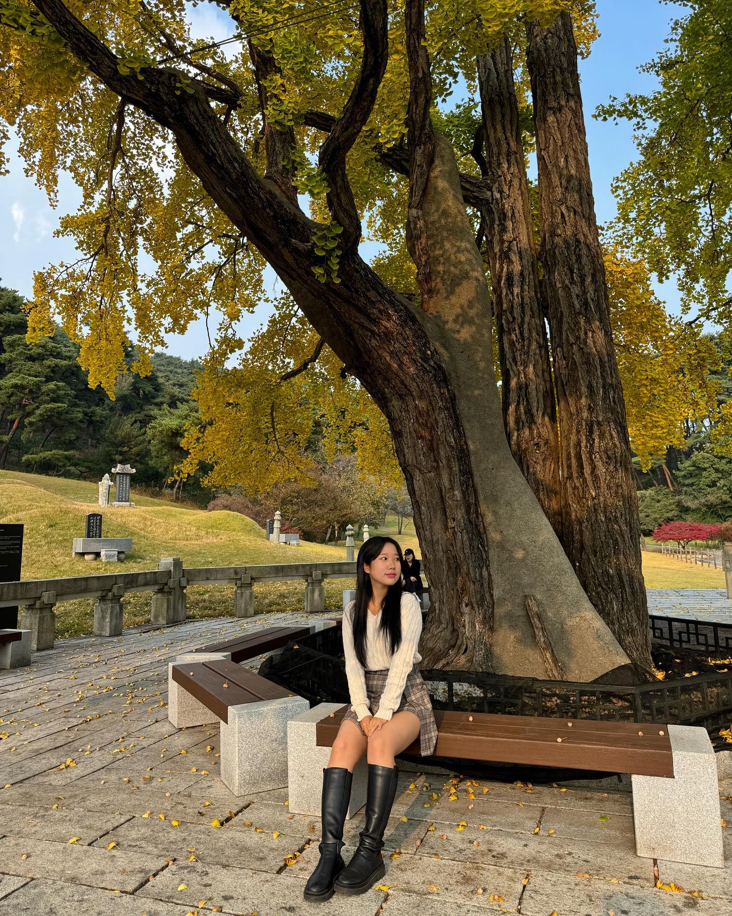 가을입니다🍂

#단풍짤 #은행잎 #은행잎치마 #현충사