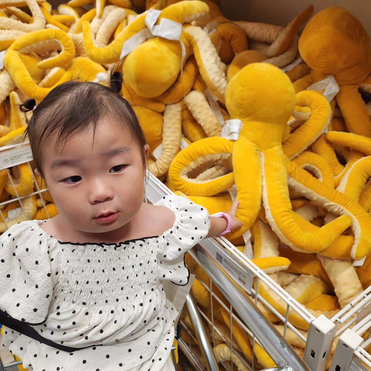 +515🩷
+152🩵

진짜 요즘 말안들어서 육아 난이도 헬..😱
이케아가서 참을성 많이 기르고왔다...😇💔
