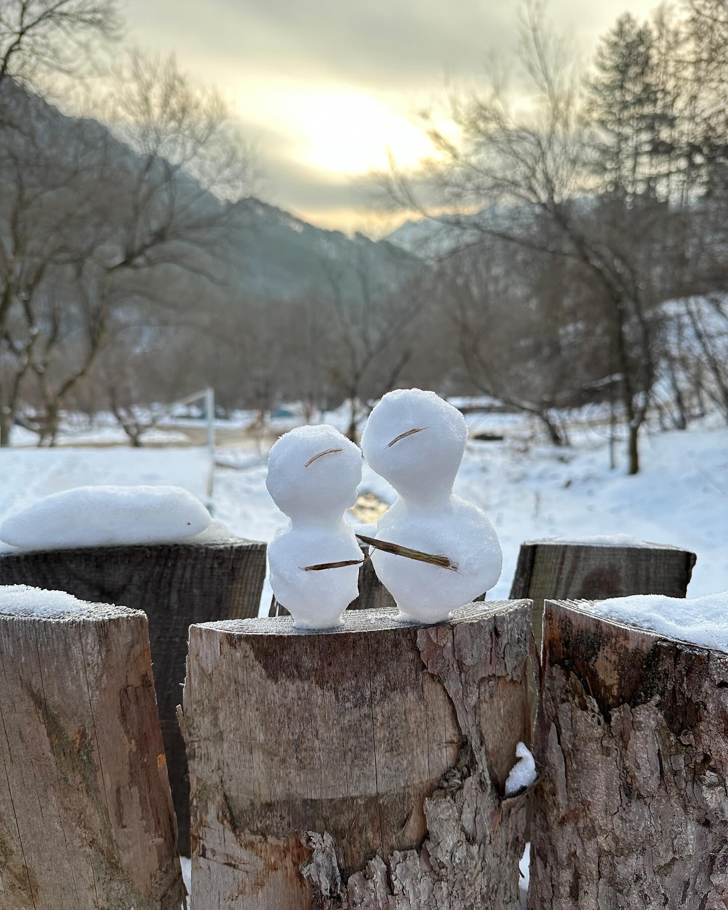 1.우리 사이트에 누군가 만들어놓은 귀여운 눈사람⛄️
2.산에서 보는 뜨는해 🌞
3.역시 사진으로는 못담는 한계령🏔️
4.온천까지 가능한 오아시스정글 캠핑장🔥

#겨울캠핑 #camping #오아시스정글 #츤데레사장님