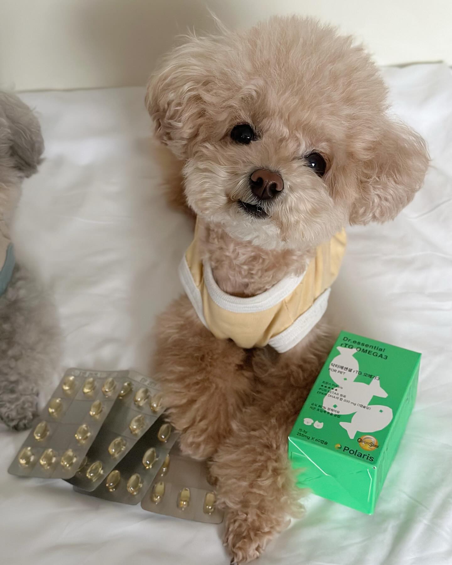 ㄱㅜㅣㅇㅕㅇㅝ🤦🏻‍♀️