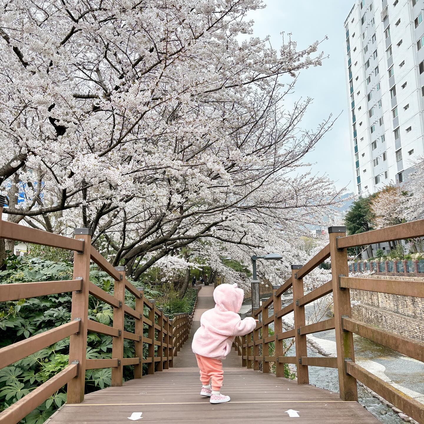 공주랑 두번째 봄 🌸

오늘 하루도 꽉꽉채워 행복했다 ღ’ᴗ‘ღ 
다시 돌아오지 않을 오늘
더 사랑하고 더 예뻐하기 😍