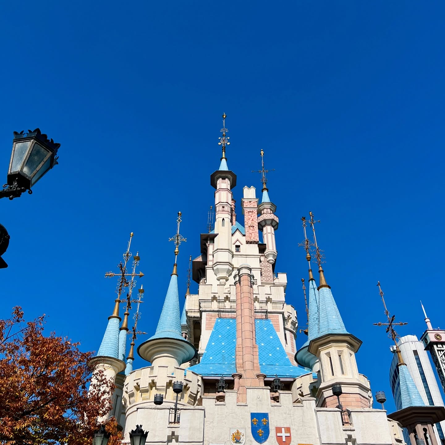 롯데세상🏰🎡🍁

가을 하늘의 파랑과
롯데성의 파랑이 만난날
예쁘게 물든 단풍은
예쁨 그 자체🍁

#롯데월드 #가을나들이 #롯데의가을
