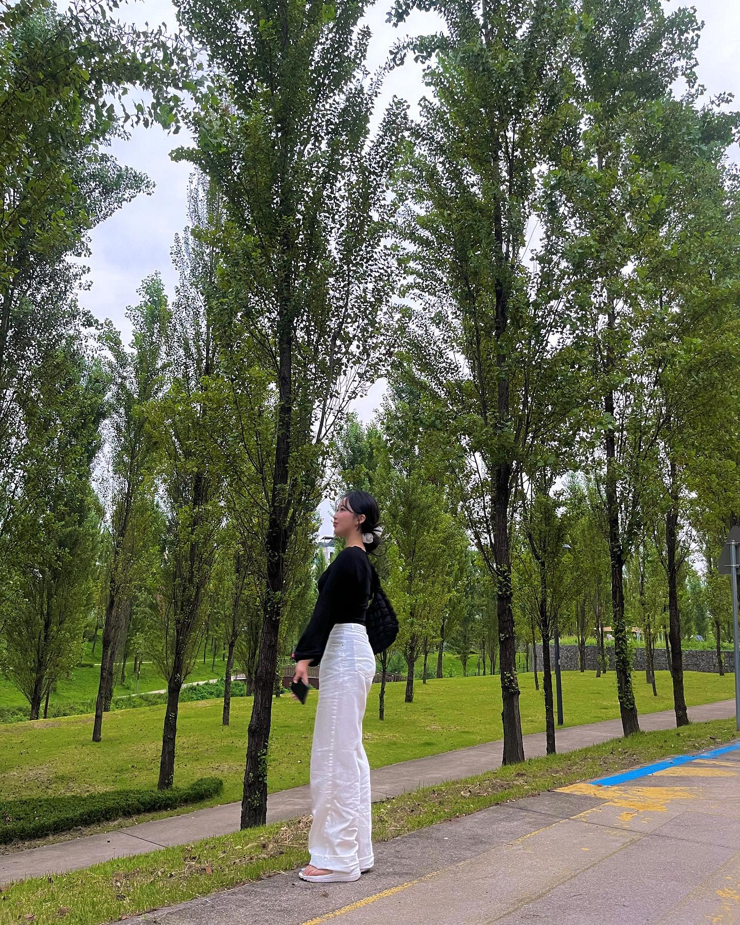 가을 조아ㅠ얼른 더 가을와라아앙ㅇ
 대하도먹고 불꽃측제도보고 단풍구경두 하러가야디ㅣ🌲✨🌲