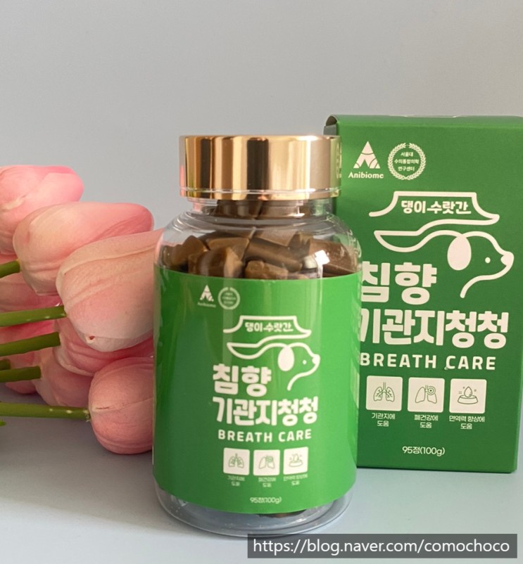 댕이수랏간 기관지청정 : 강아지기관지협착, 강아지영양제