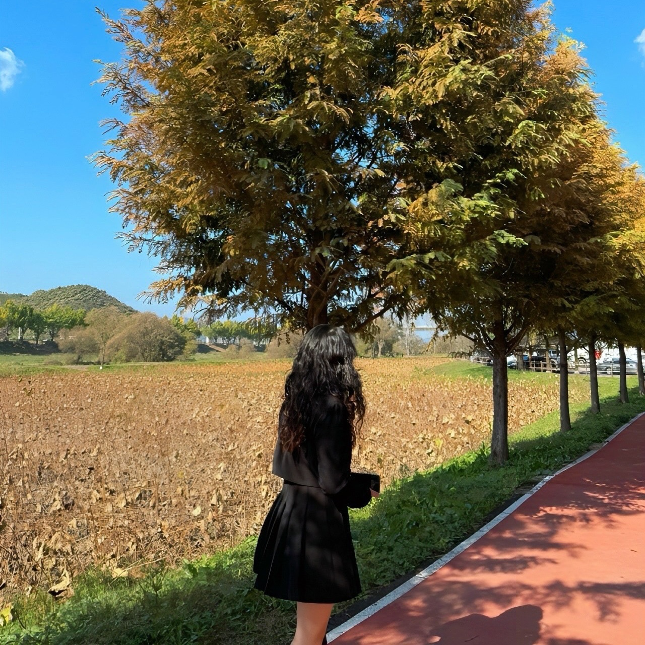 할 줄 아는 포즈가 없습니다 .
-
#공주메타세콰이어길 #공주