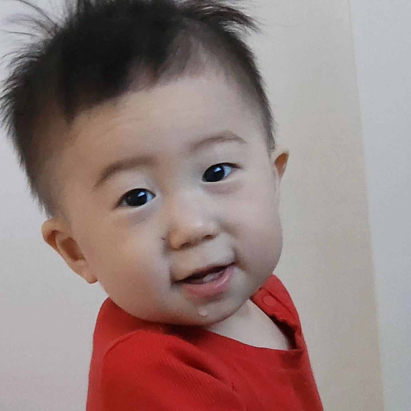 지금도 한없이 예쁘고 사랑스러운 쭌이지만 

그래도 답답한 콧줄이 없었던 내강아지 너무 이쁘다.