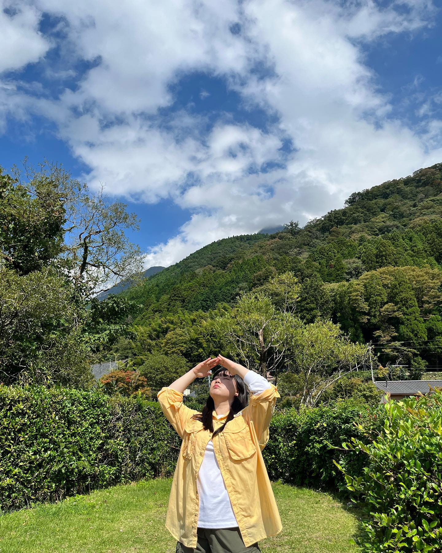 💛💙🌳