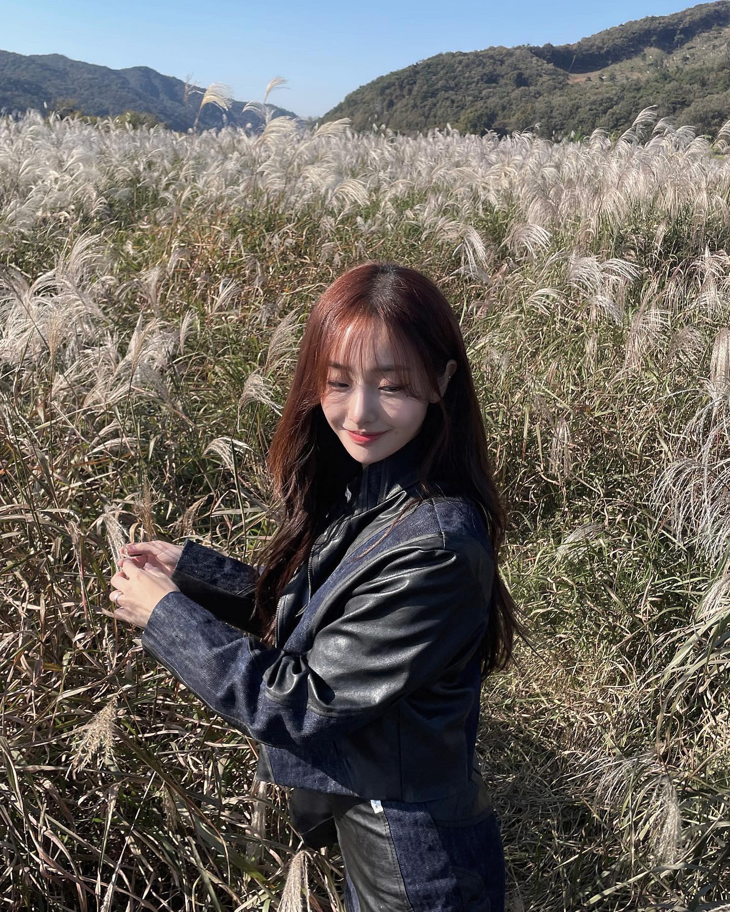 비내섬