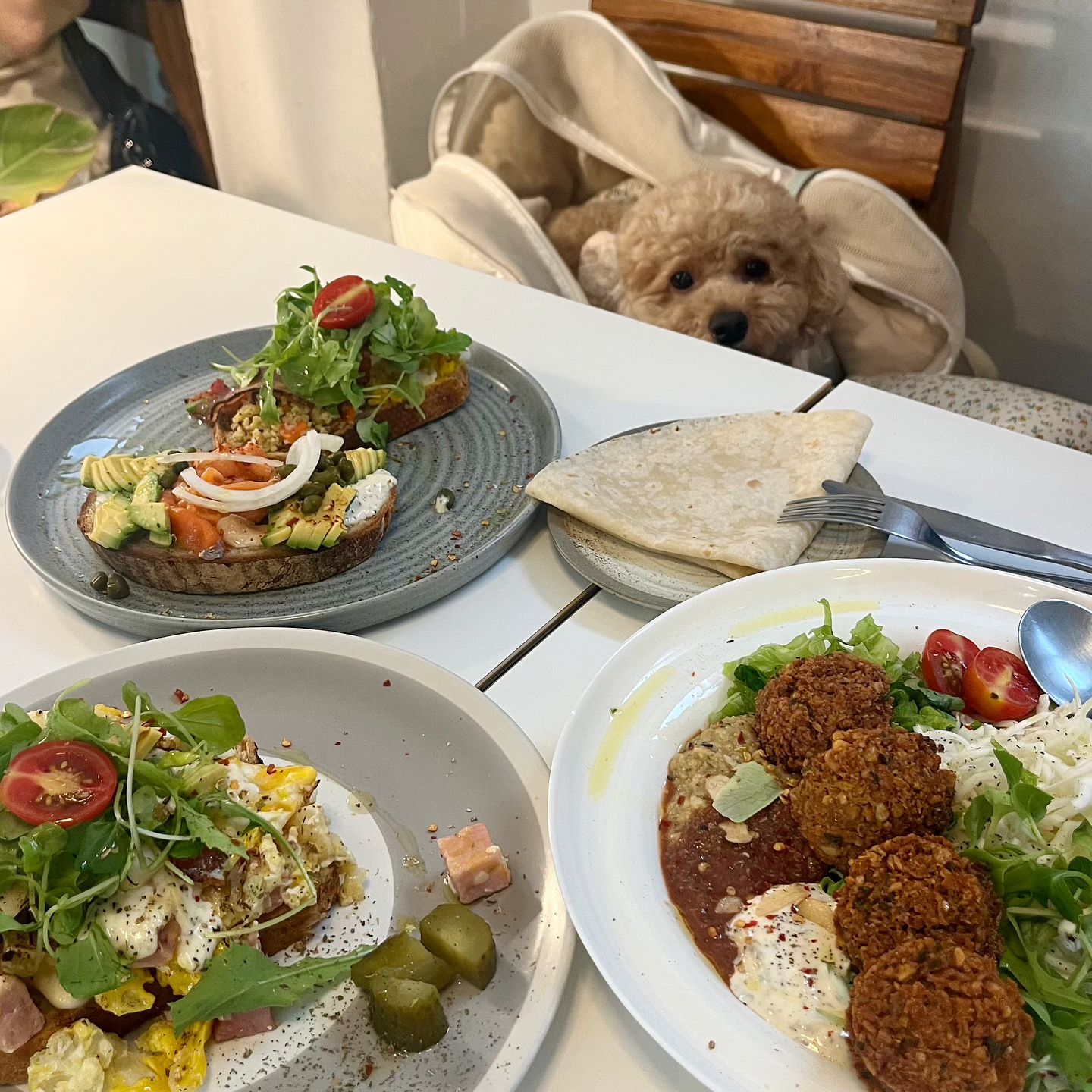 언니들이랑 맛난 거 😆♥️