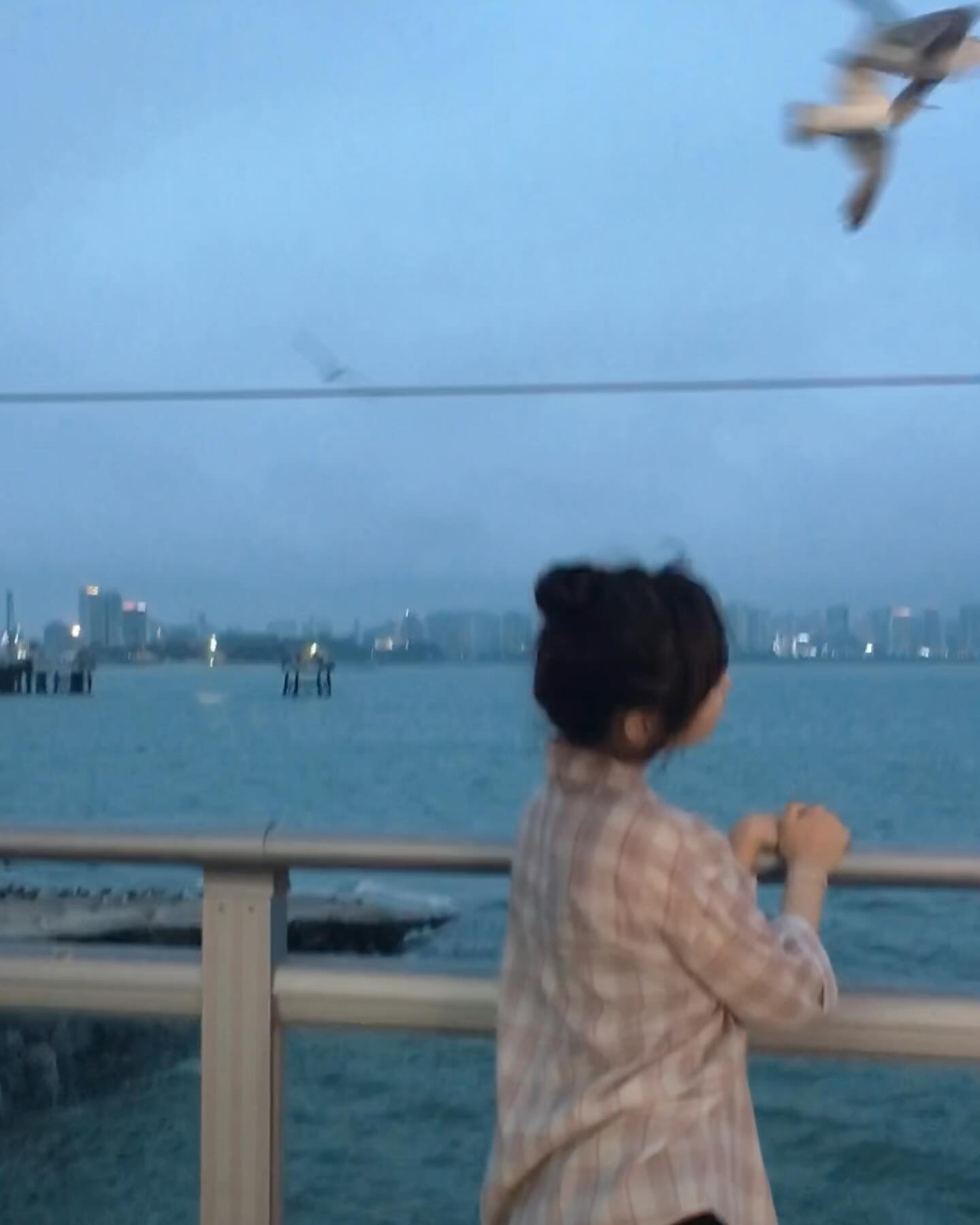 끼룩끼룩