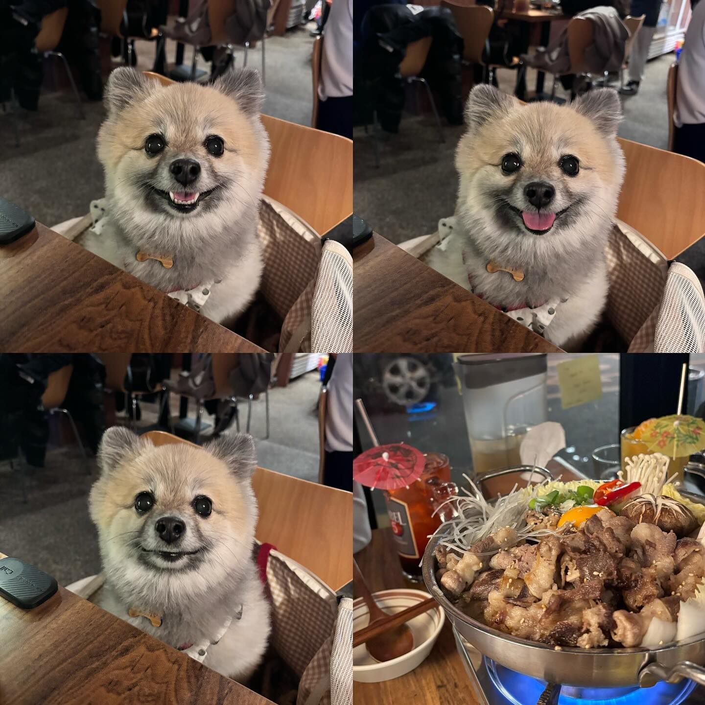 전포에서 멍청이랑 처음 술마시기 ❕
데리고 가길 잘해따 ㅎㅎ 직원들이 남자라서 멍청이 고개 돌리느라 바빴음