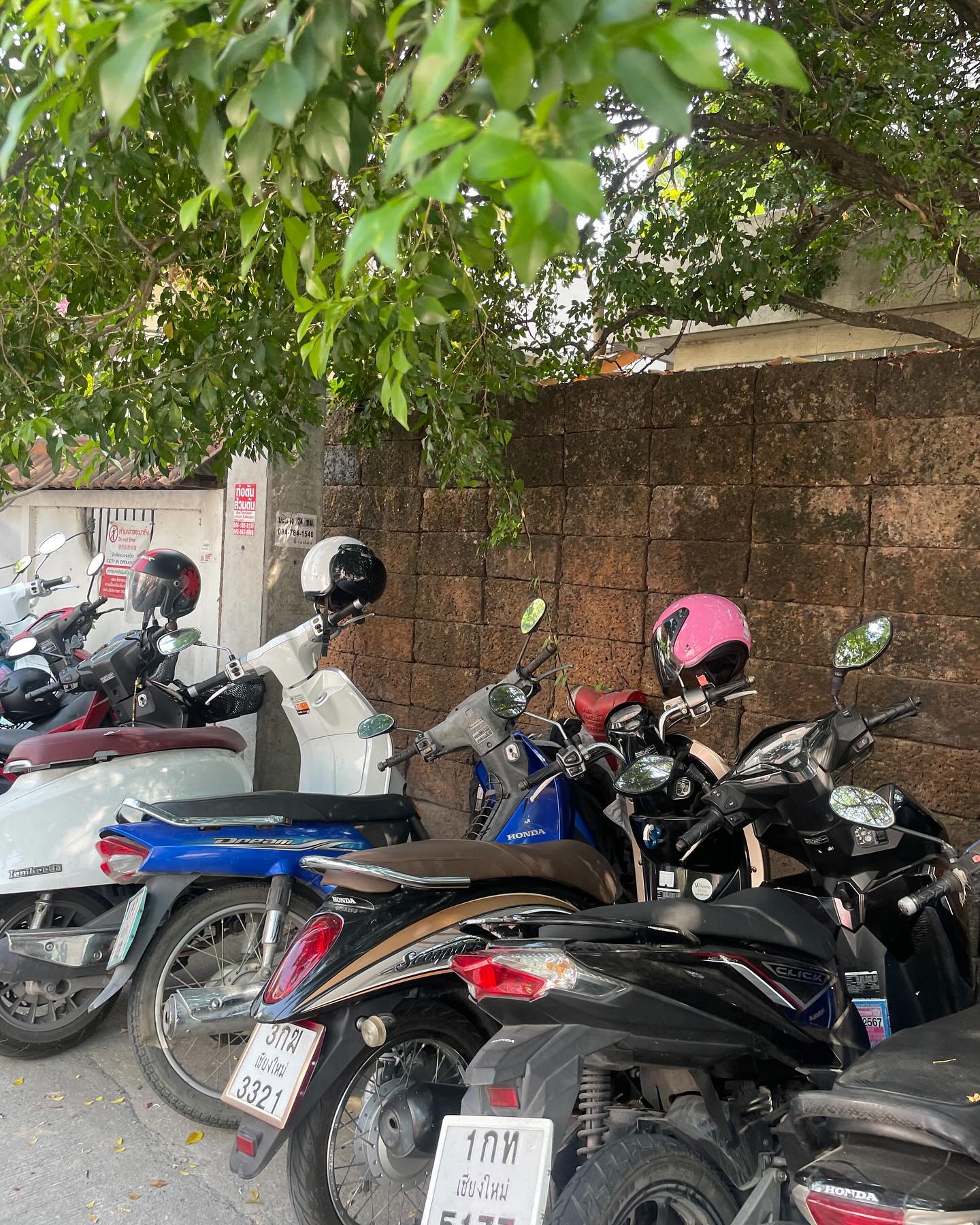 오토바이 모음집 🏍️