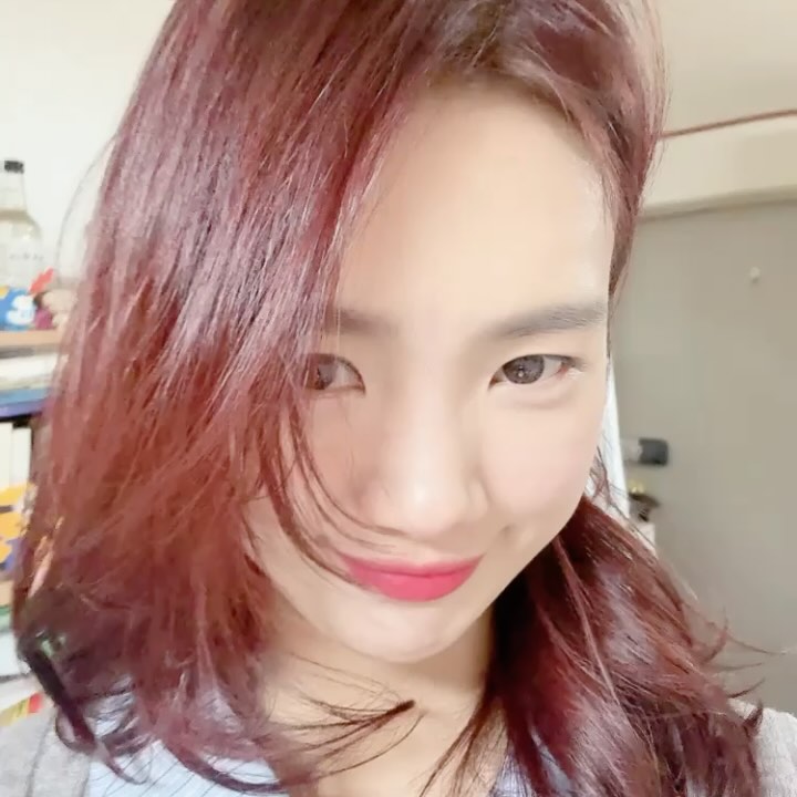 콘텐츠