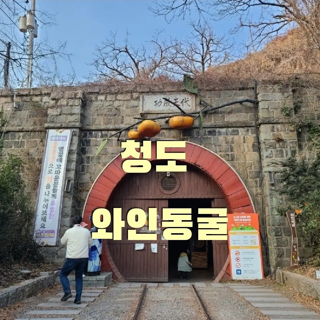 #청도 #와인터널 #청도꼭가봐야할곳
#대구근교 #전국방방곡곡 #구석구석 
#와인동굴 #안지향챌린지 #여행스타그램 

경북 청도 와인터널~ ❣️💕

주소 : 경북 청도군 화양읍 송금길 100 

청도의 특산물인 감으로 
사용하지 않는 철도길을 이용해 
와인을 숙성시키는 용도로 사용한다고 해요~ 

1Km정도의 길을 걷다보면
와인을 한잔시켜 분위기에 취해보아도 좋을~ 
술한잔에 얼굴이 붉어져도 티도 안날듯한~ 🌟
분위기에 젖을수 있다 💕

가는 길마다 아기자기 꾸며놓아
사진을 찍을수밖에 없을정도로 좋은~
누군가의 소망들을 품은~ 

이끼낀 벽돌도
따뜻한 분위기도 과하지 않았던
청도의 와인동굴이었습니다 🌝