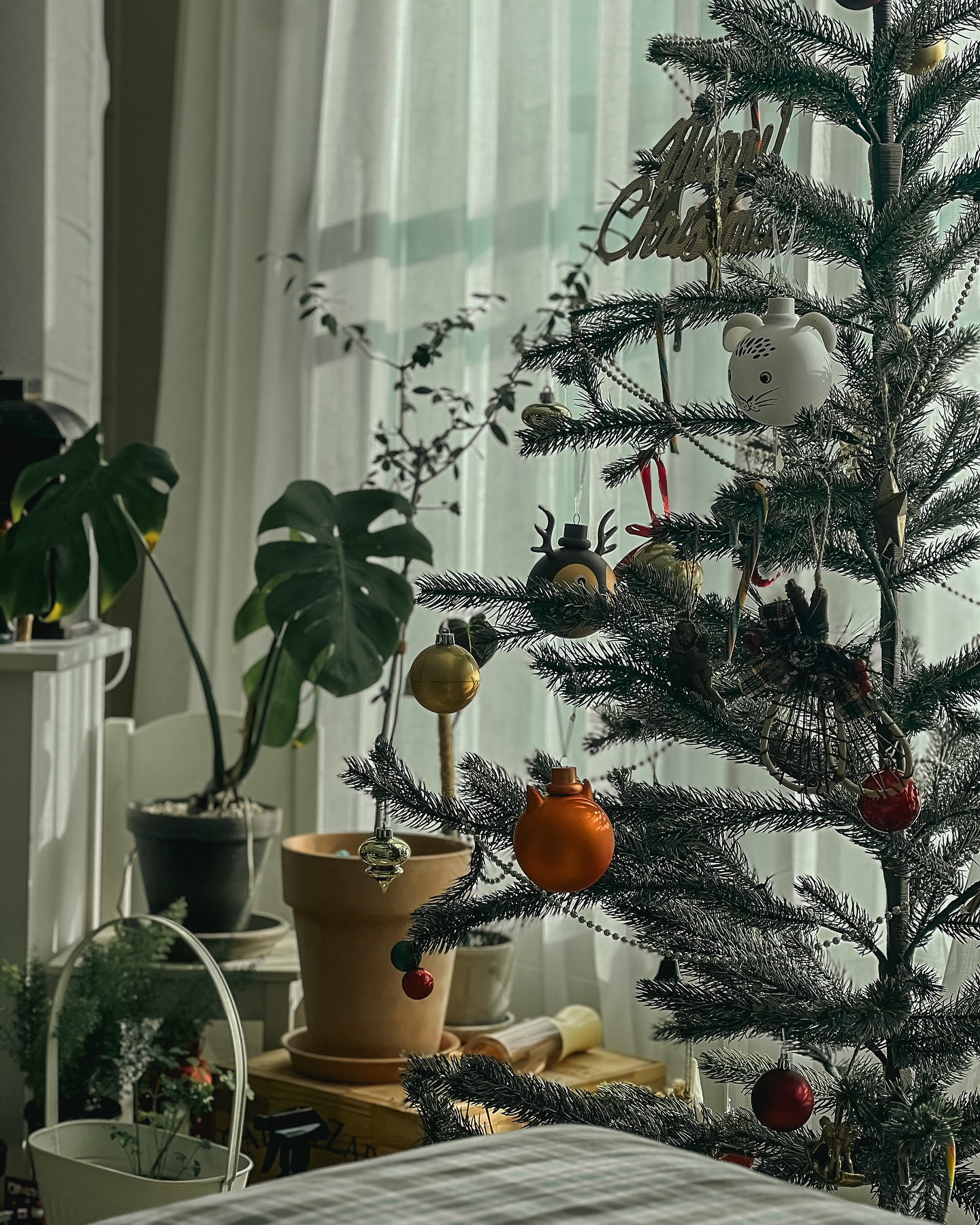 Santa Mommy coming to home.

자꾸 더하니 지저분 해지는것 같아
있는거 가지고 배치하고
큰트리는 슬슬 빼려고 하는데
어린이들이라 
트리꾸미는건 좋아해 후딱 완성하네요 ㅎㅎ

12월에는 양치하나는 기똥차게 잘 했는디
이제 모든걸 알아버려
좀 아쉽네요 ㅎㅎ
그래도 ... 엄마가 산타인거 알지? 한마디 하면
나름 하는 시늉이라도 하네요 ㅎㅎㅎ

#크리스마스트리🎄 #트리꾸미기 #거실플랜테리어