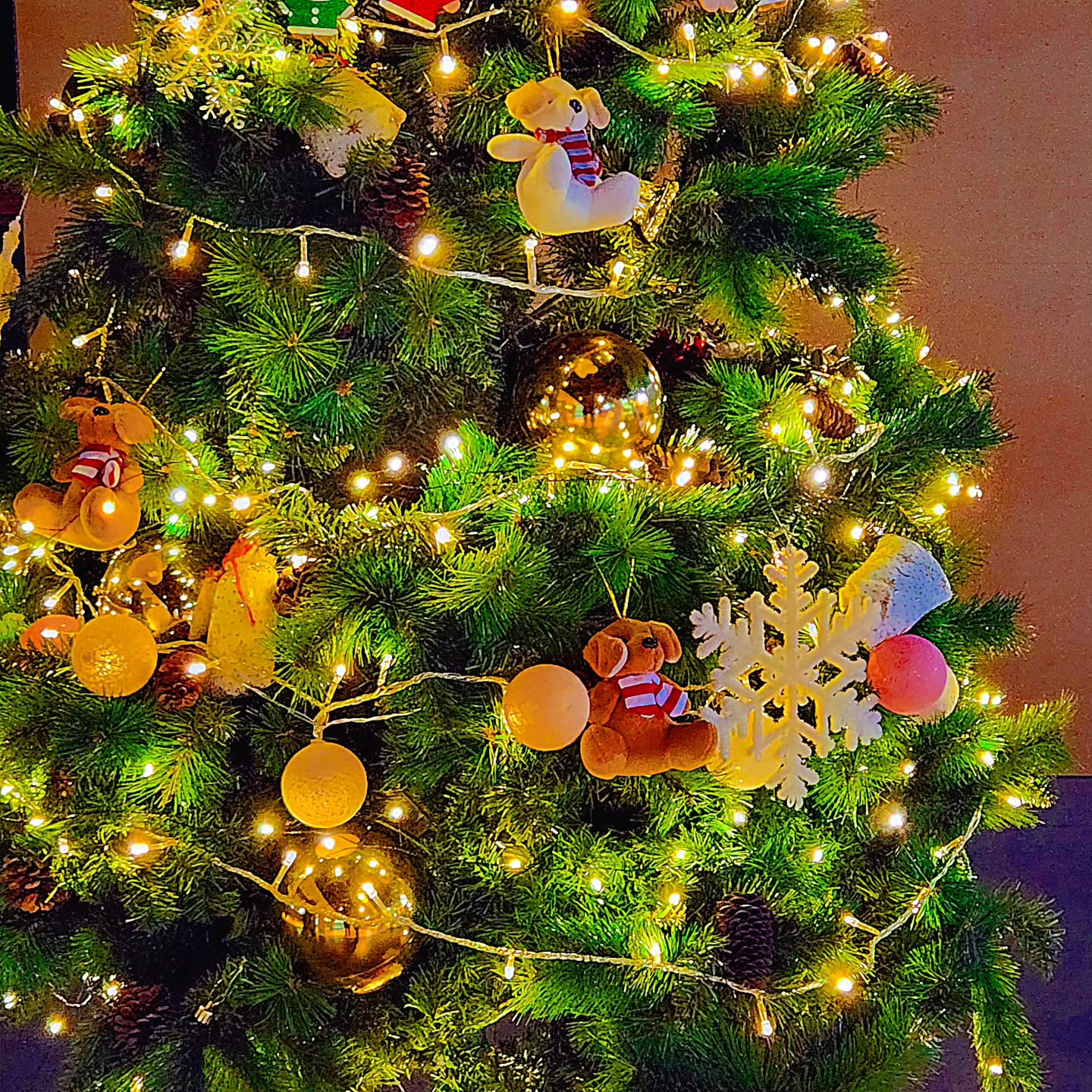 어딜가나 크리스마스 🎄 분위기다
너무 너무 좋아.
.
.
#크리스마스트리 #일상 #christmas
#힐링 #반짝반짝