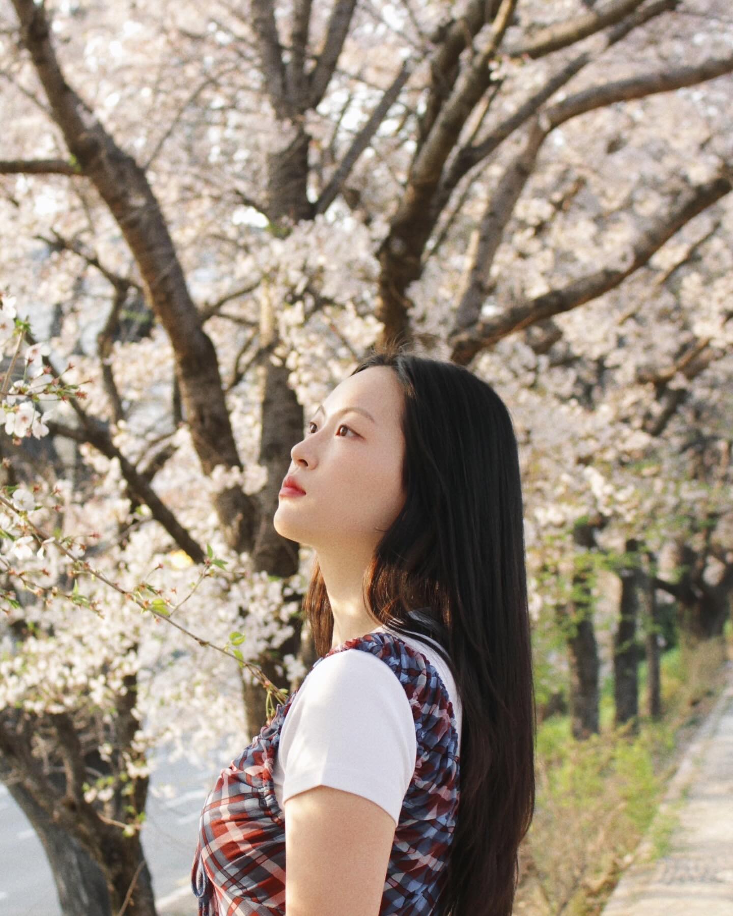 springsprung ₊⁺⊹