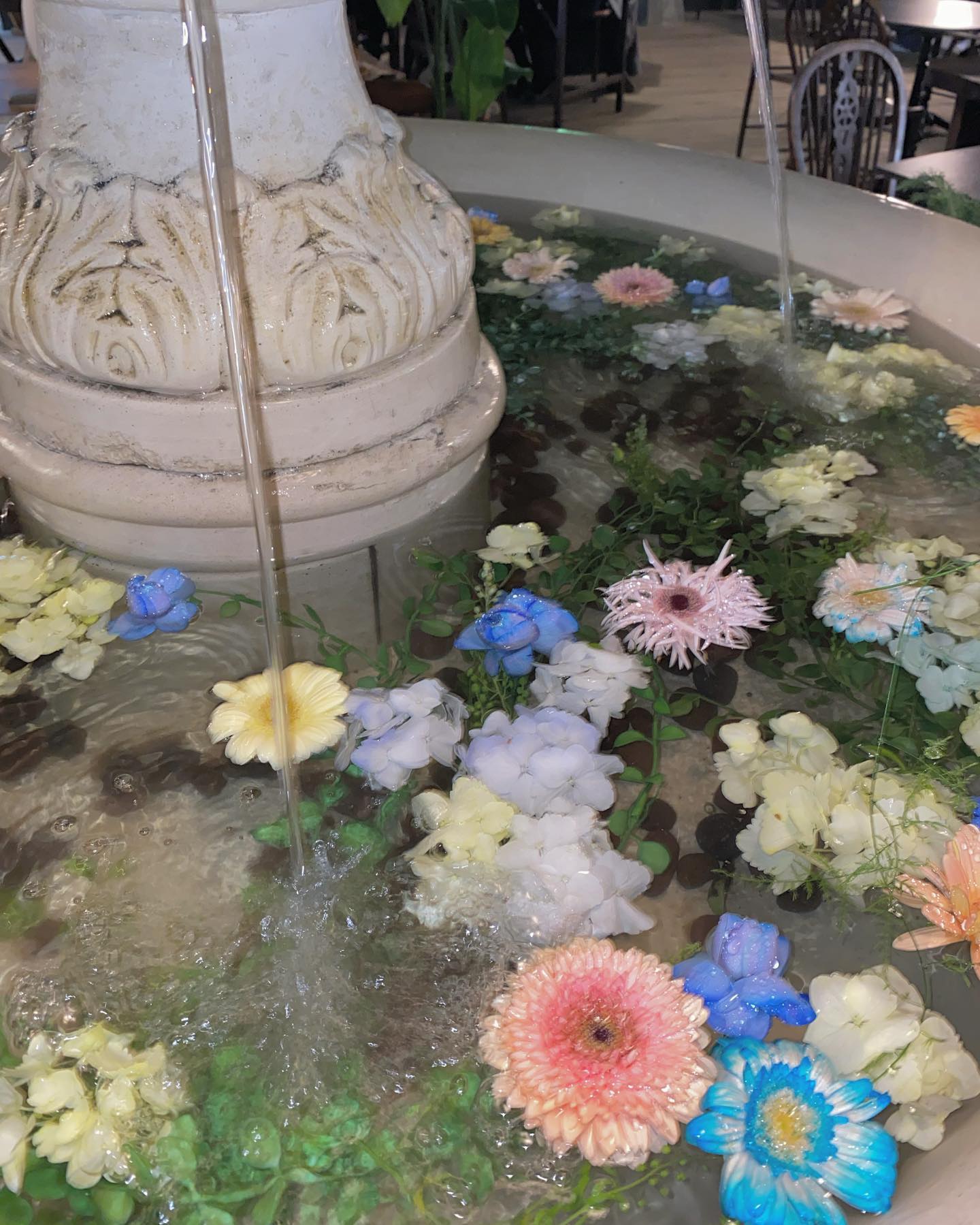 ⛲️
